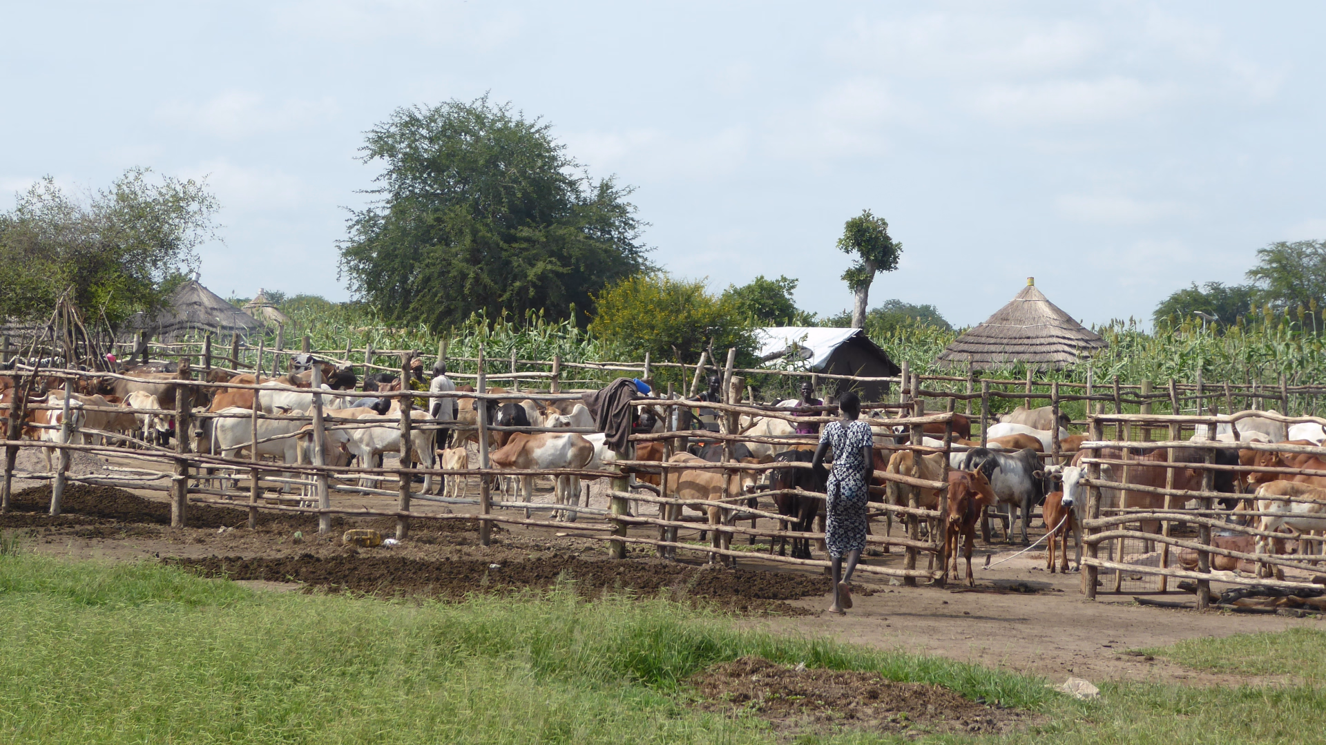 Sport, culture et safari dans l'est de l'Ouganda