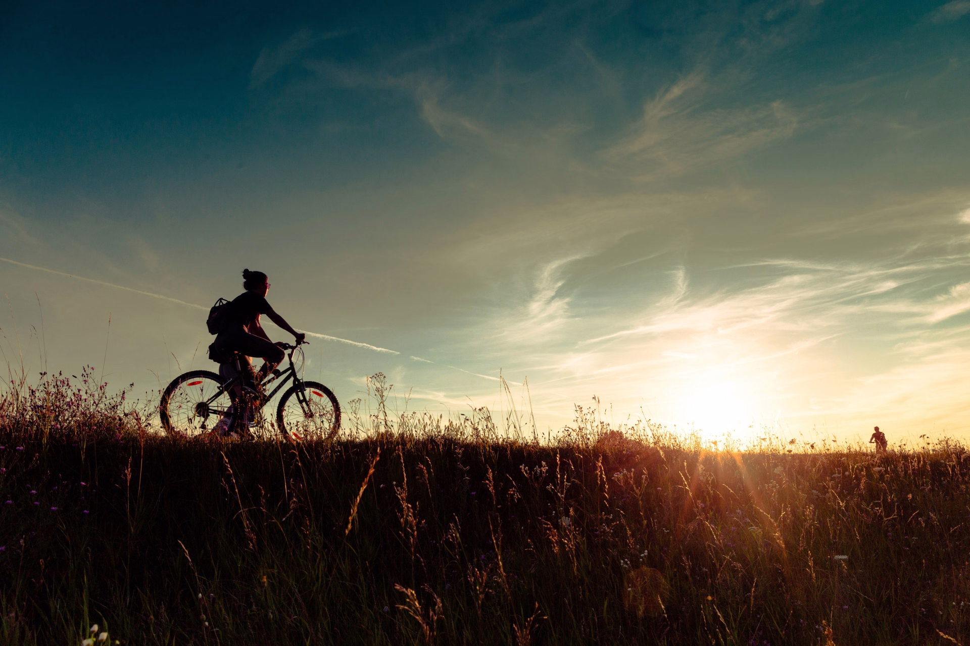 Le Kent à vélo entre culture et terroir
