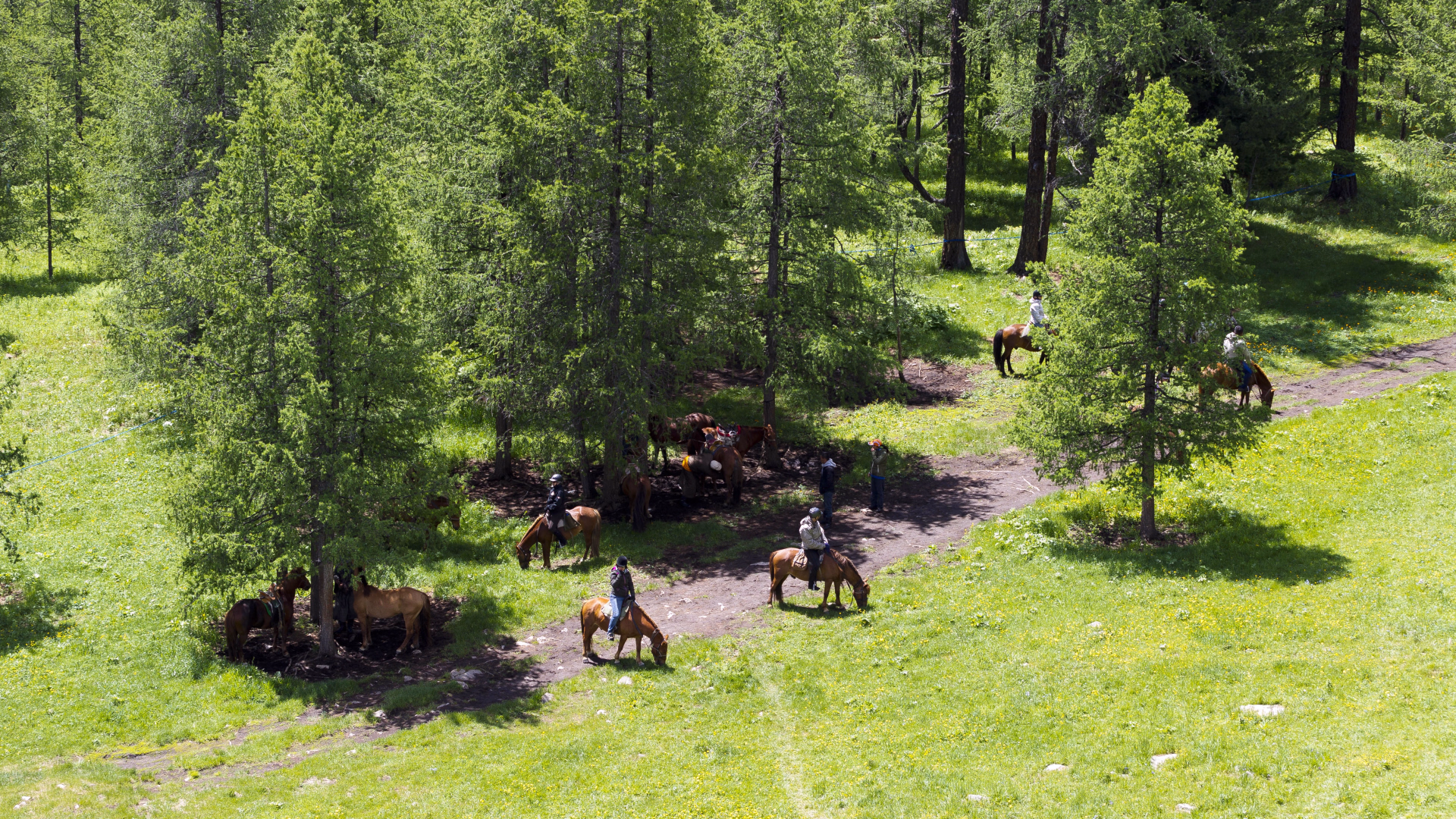 Randonnée équestre en Mongolie de l’Orkhon au désert de Gobi
