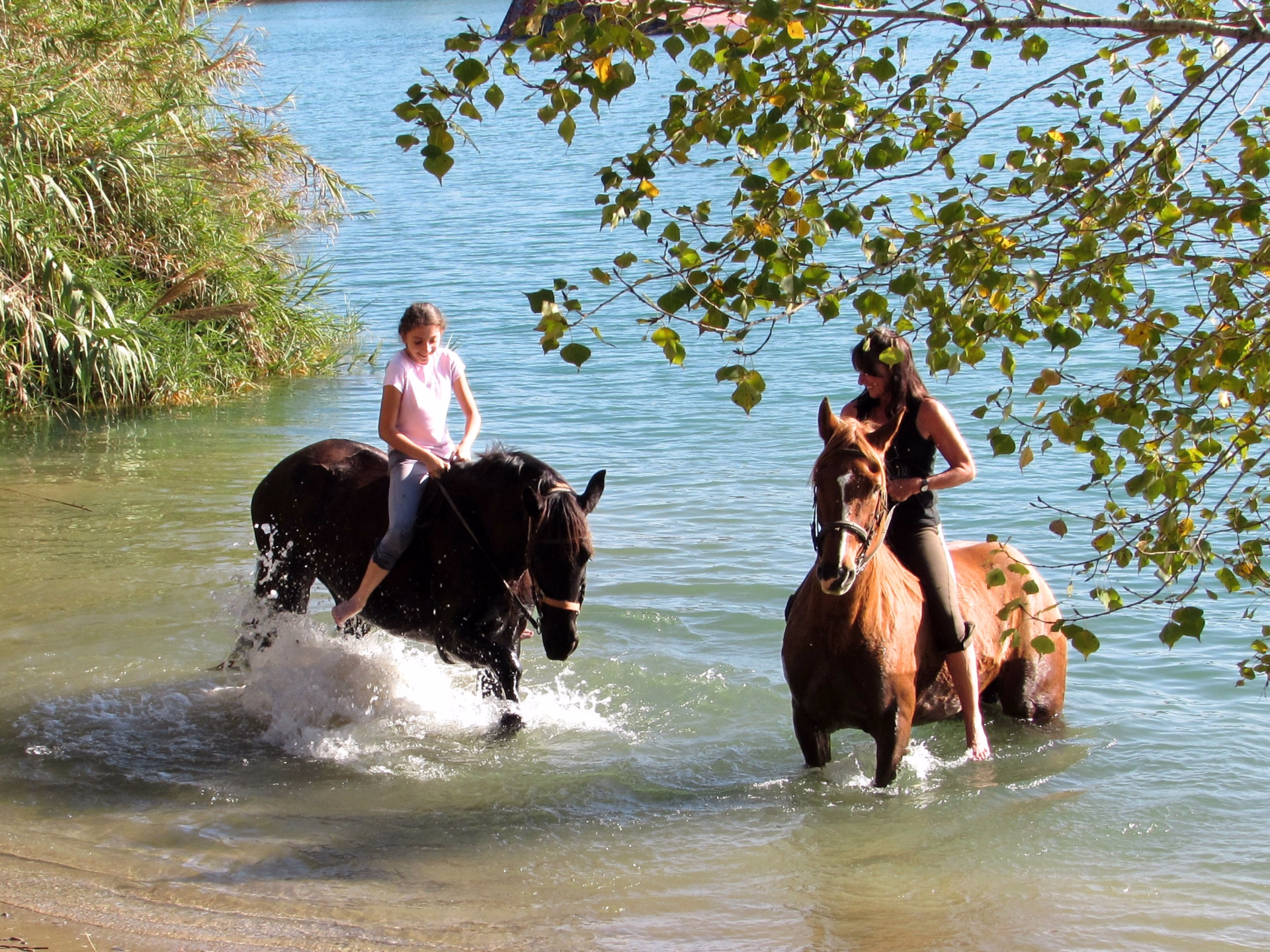 Randonnée à cheval en Catalogne