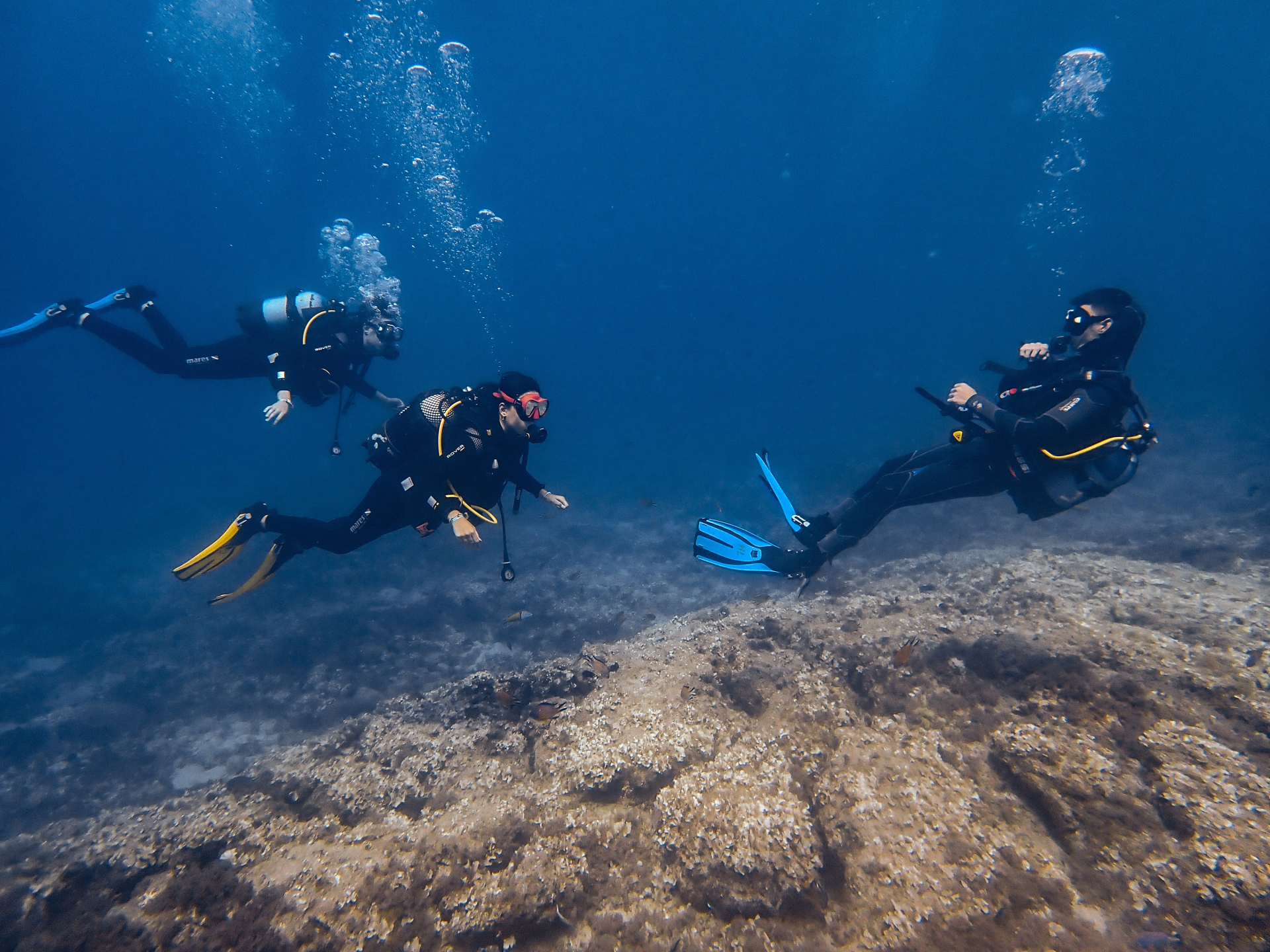 Découvrir la plongée au musée sous marin de Lanzarote