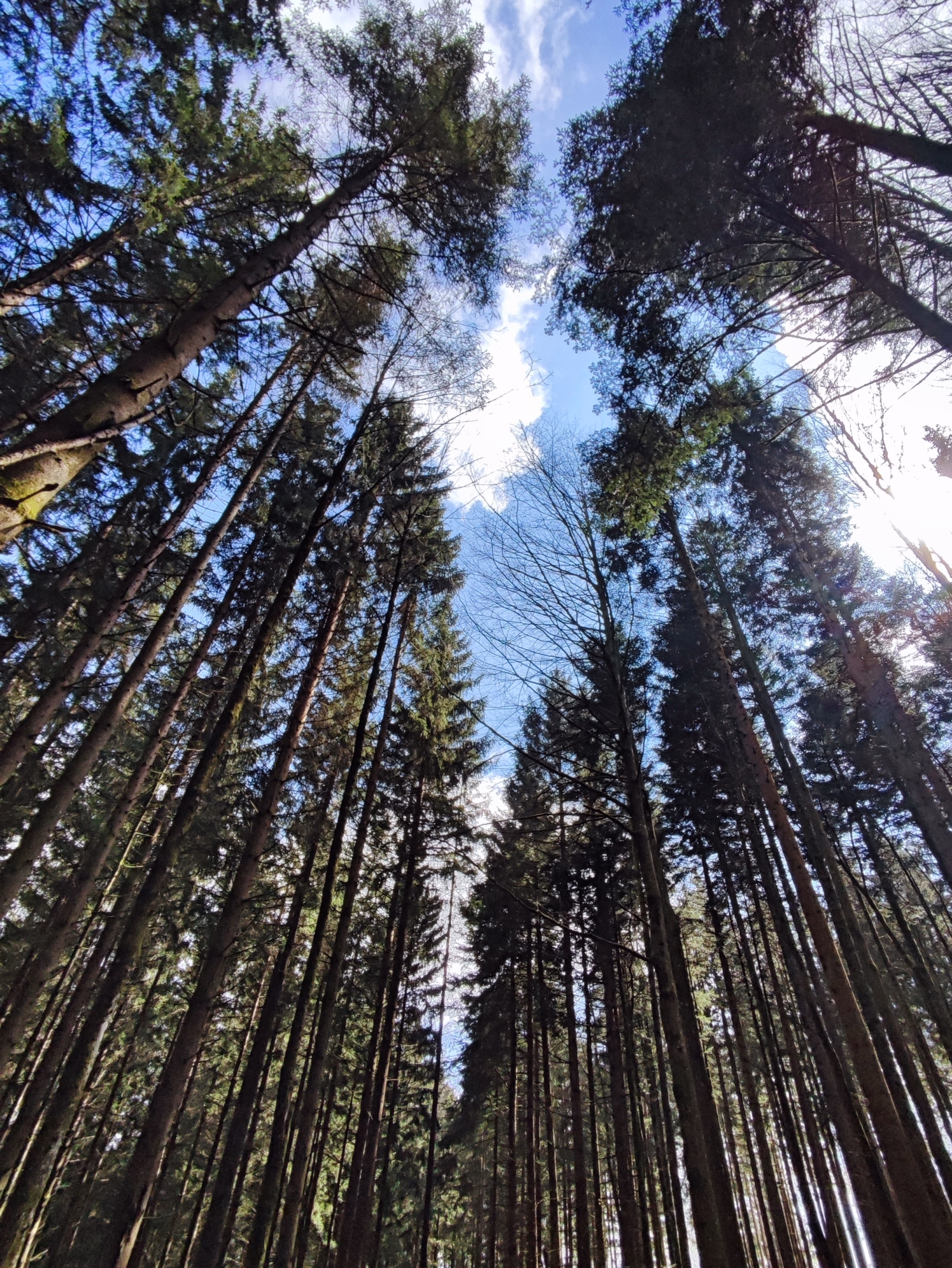 Randonnée 3 jours au cœur des Vosges du Nord en Alsace