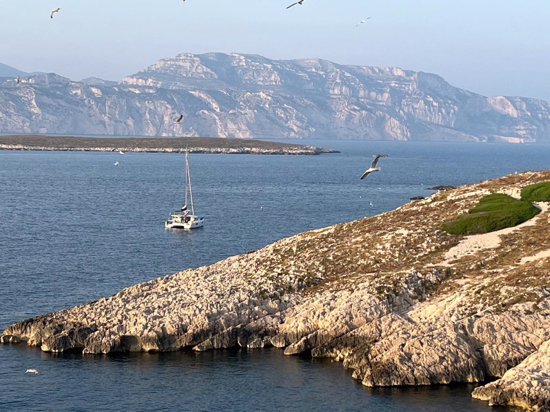 Cap sur les calanques : initiation à la voile en catamaran