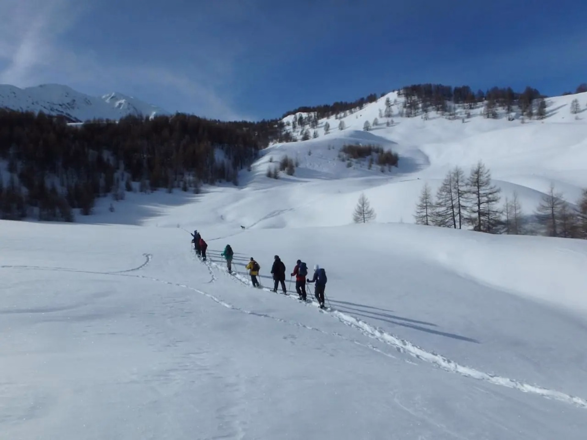 Raquettes et gastronomie dans les Ecrins