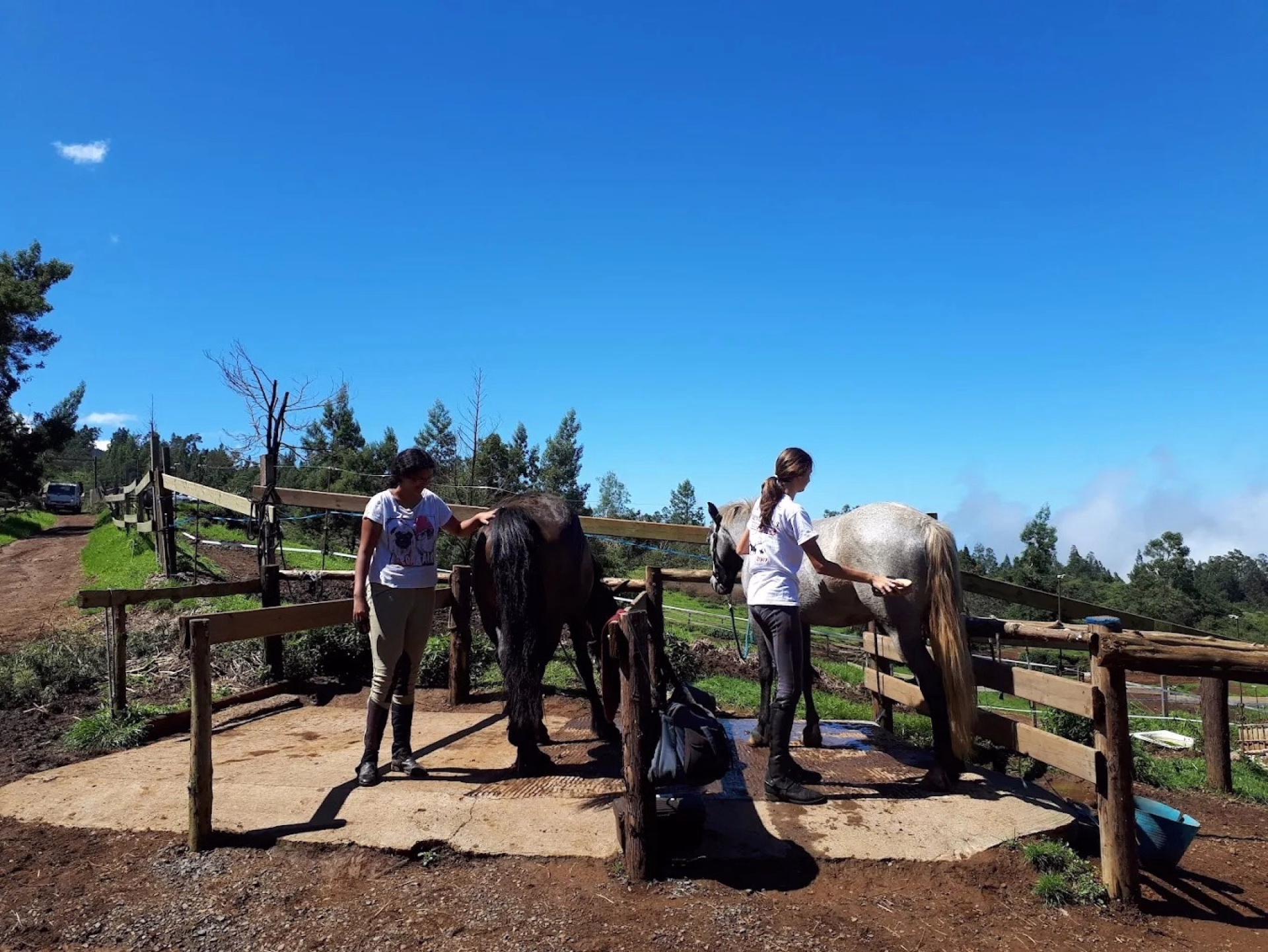 Randonnée à cheval au cœur sauvage de l’île de la Réunion