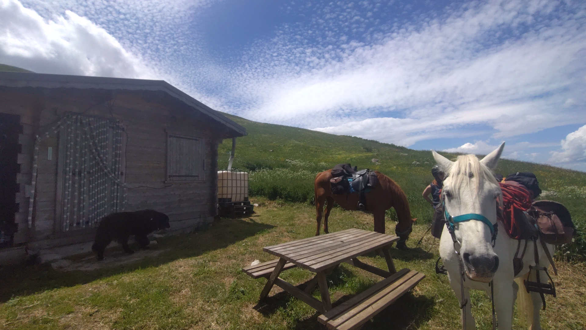 Tour des Monges à cheval