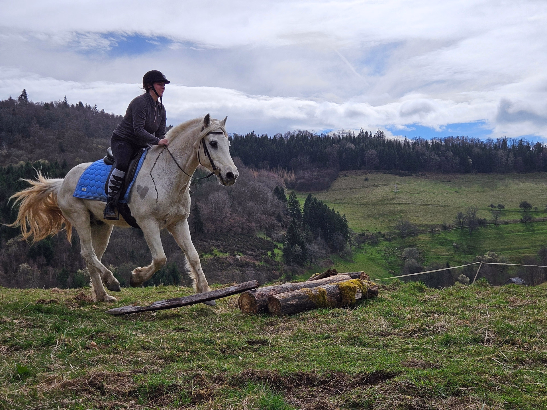 Stage équitation multi-activités au coeur des Vosges