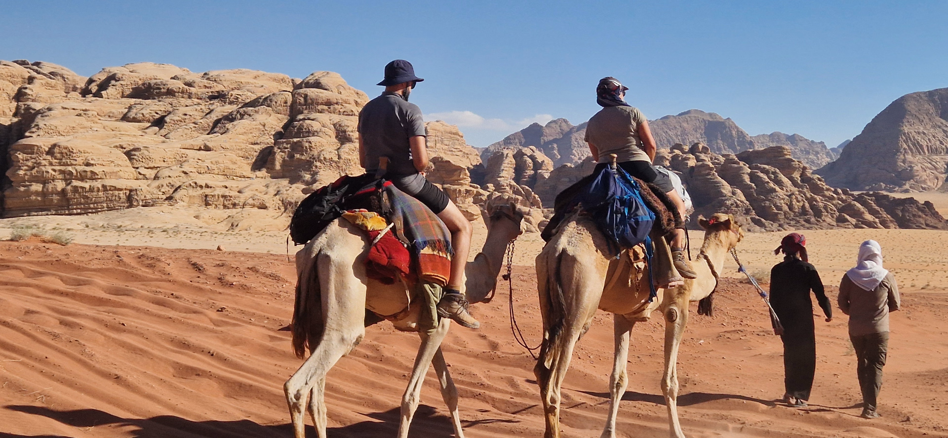 Photo de chameaux en Jordanie