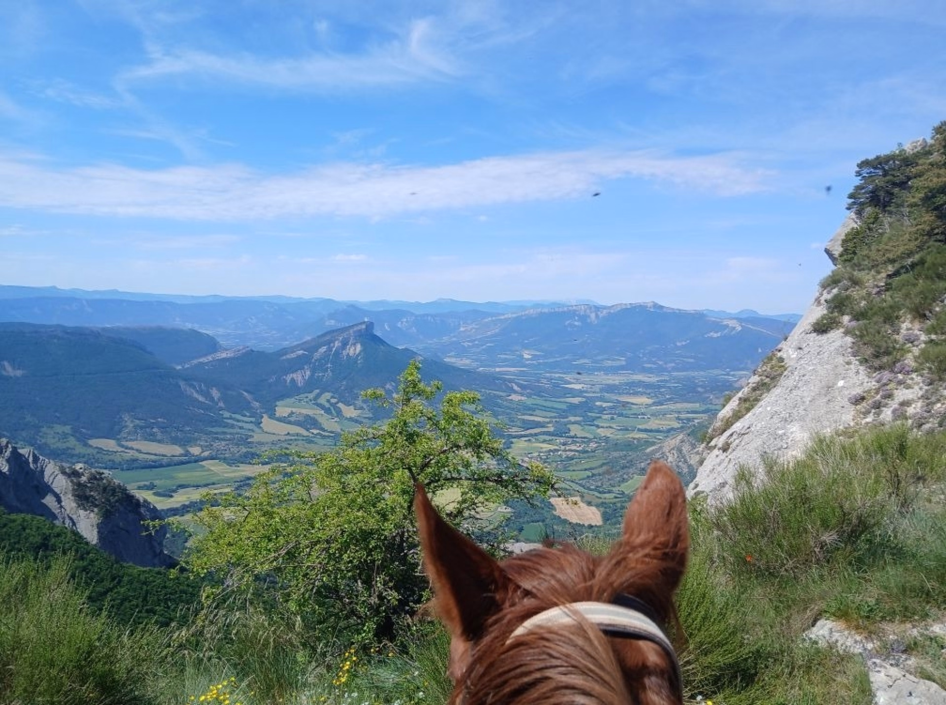 Randonnée équestre entre Buëch et sommets de la montagne d'Aujour