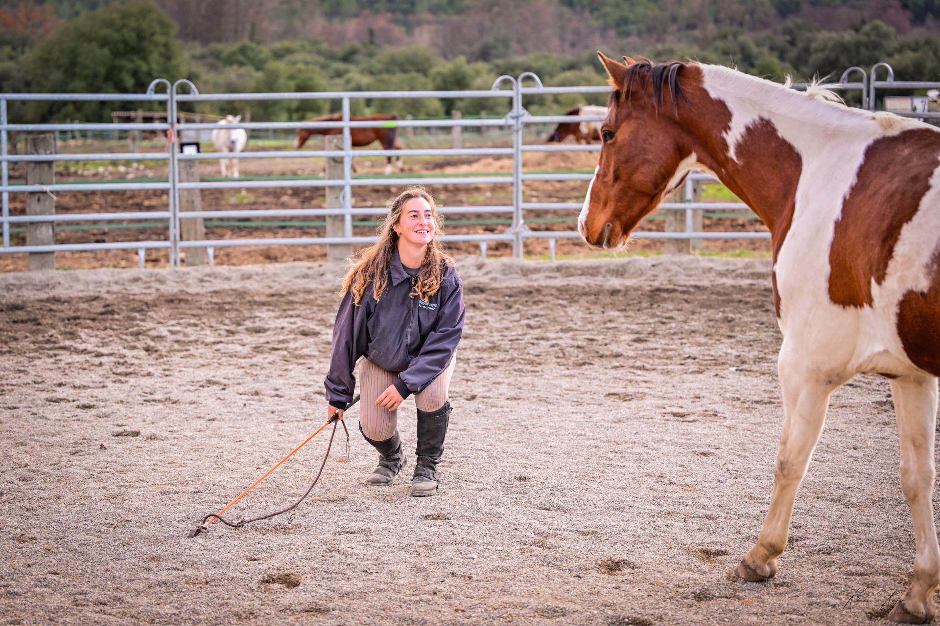 Séjour éthologie à cheval en Corse