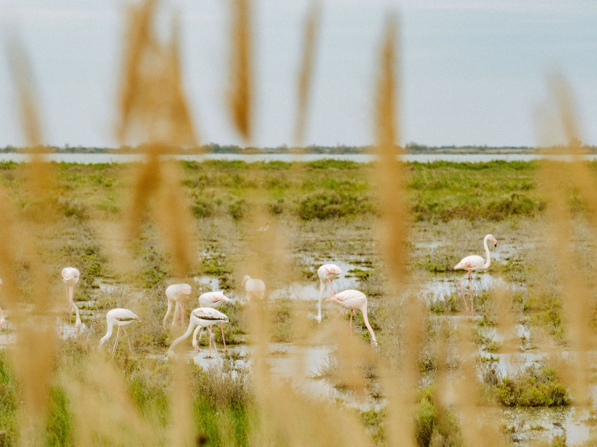 Long week-end découverte des Alpilles à vélo gravel
