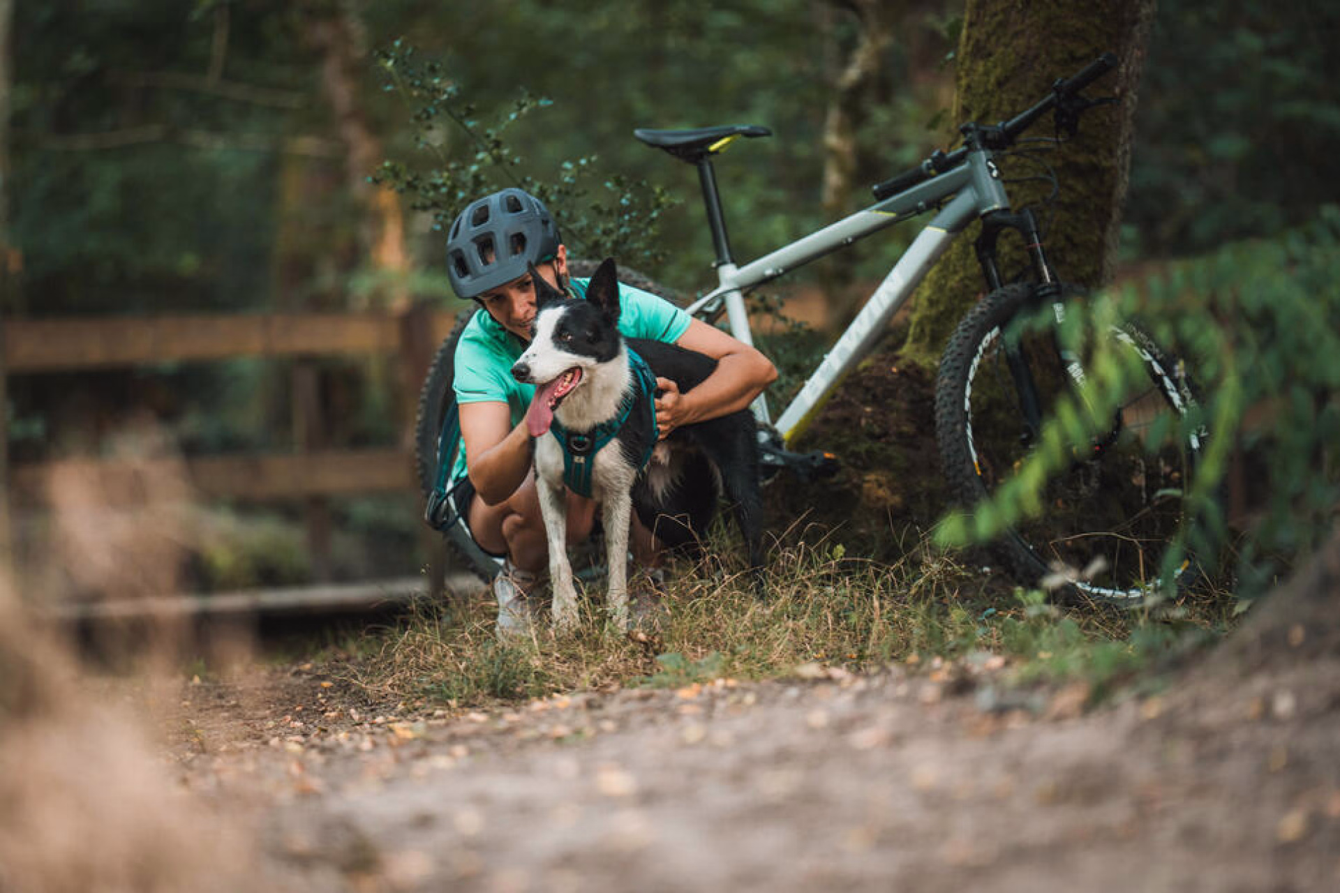 Séjour à vélo avec son chien © Séjour à vélo avec son chien