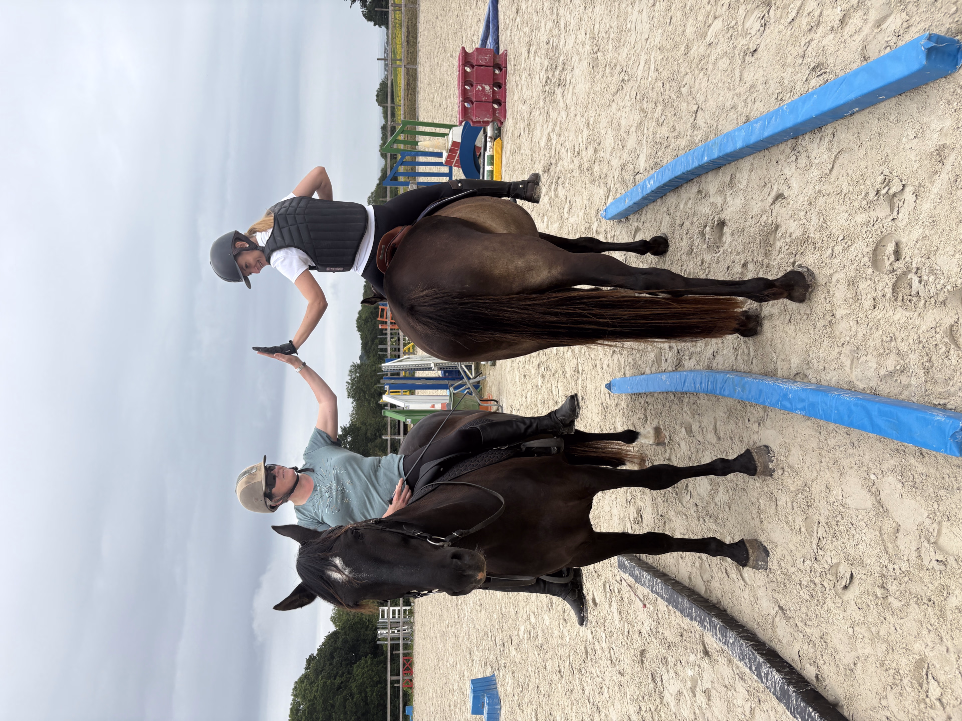 Stage d'équitation et travail à pied