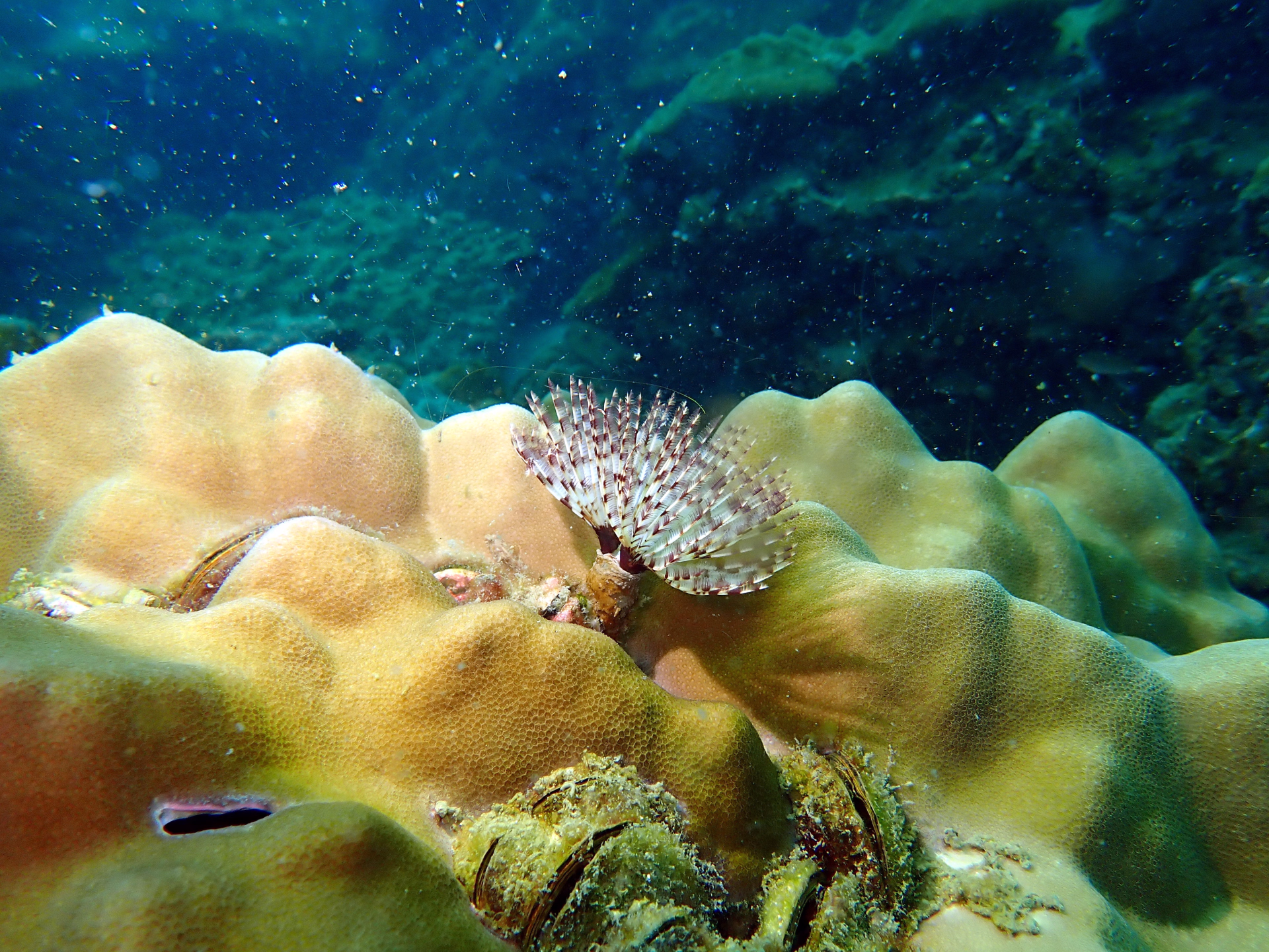 Circuit et plongée au Vietnam Sud de Ho Chi Minh à l'ïle de Phu Quoc
