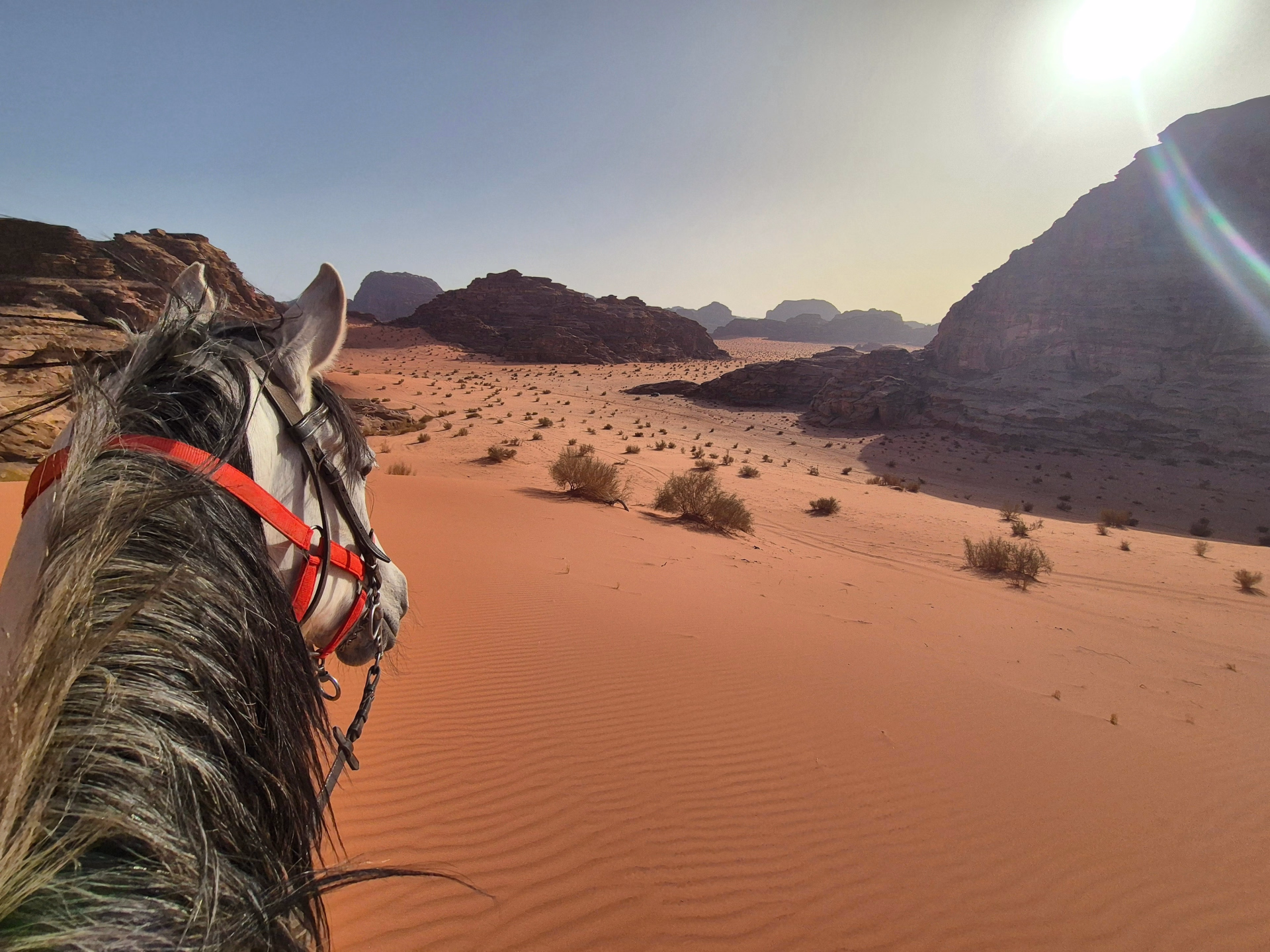 Randonnée à cheval au coeur de la Jordanie - Spécial Réveillon