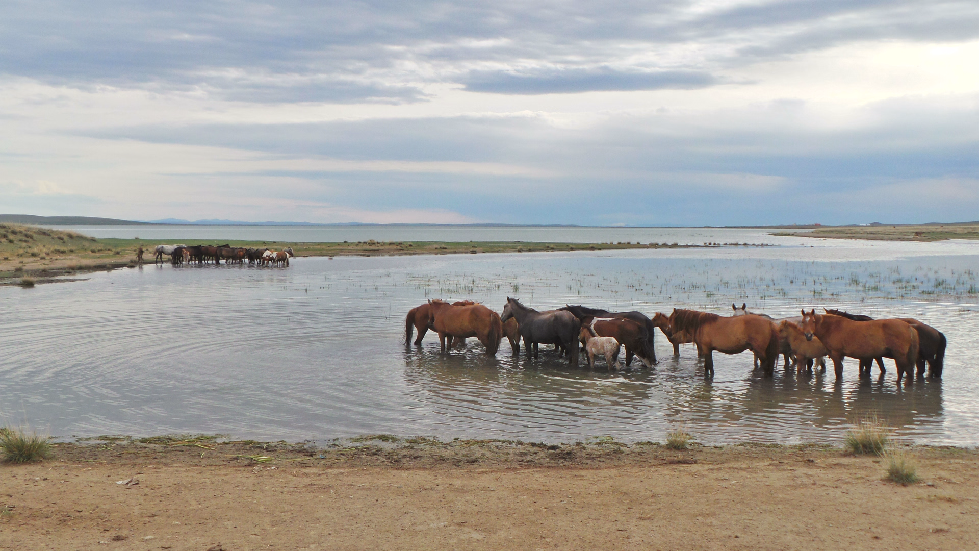 Trek et expédition 4x4 dans le désert de Gobi