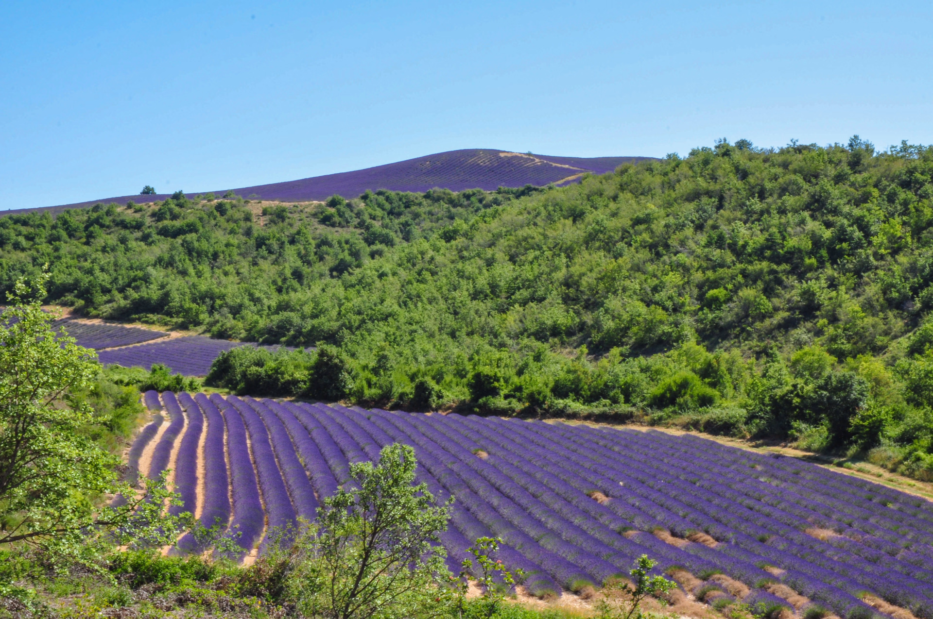 Randonnée pédestre - Terres de Haute Provence