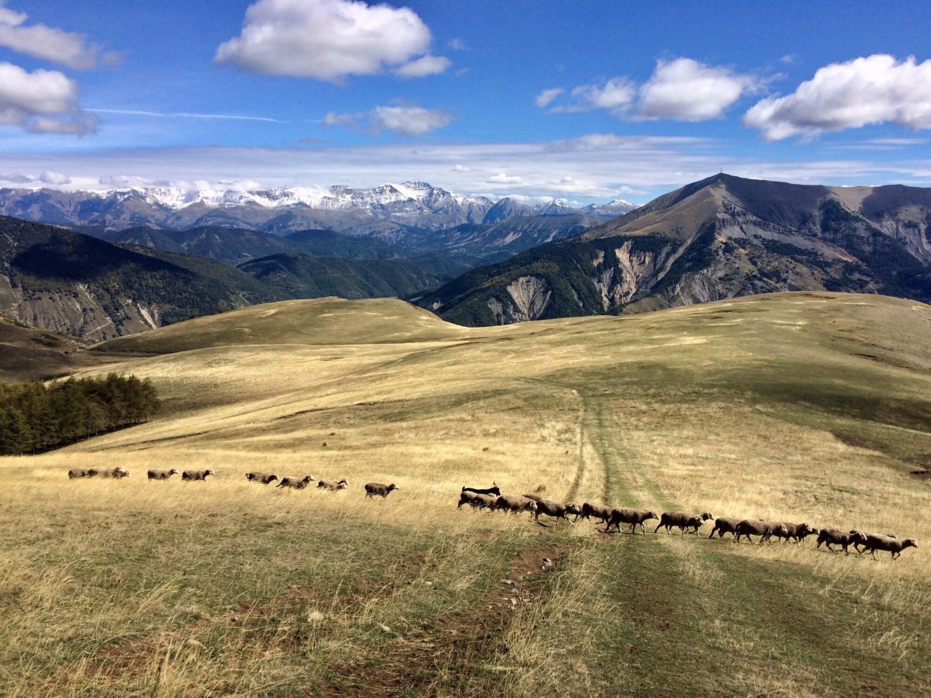 Tour des Monges à cheval