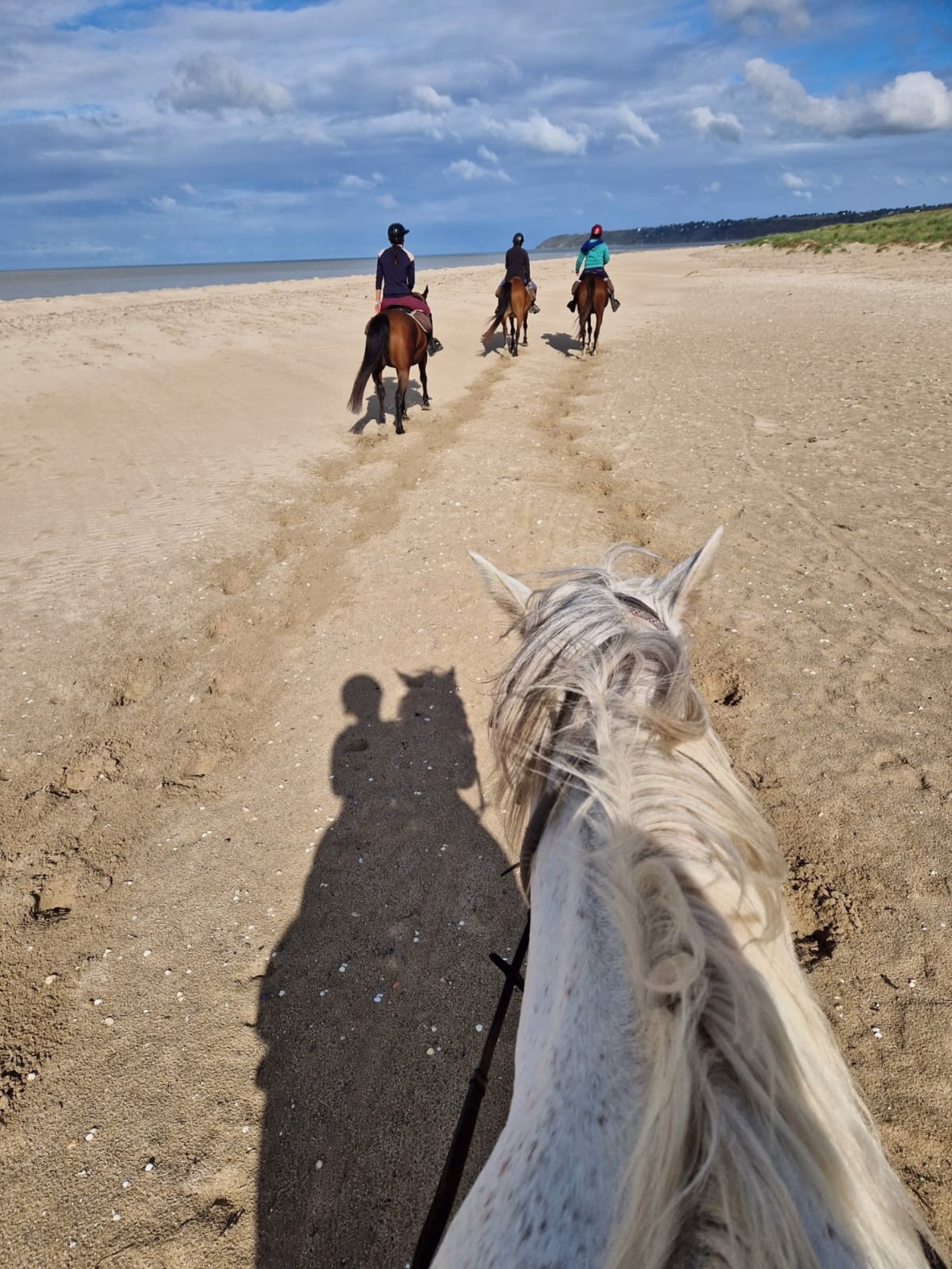 Randonnée à cheval en Baie du Mont-St-Michel entre Granville et Genêt