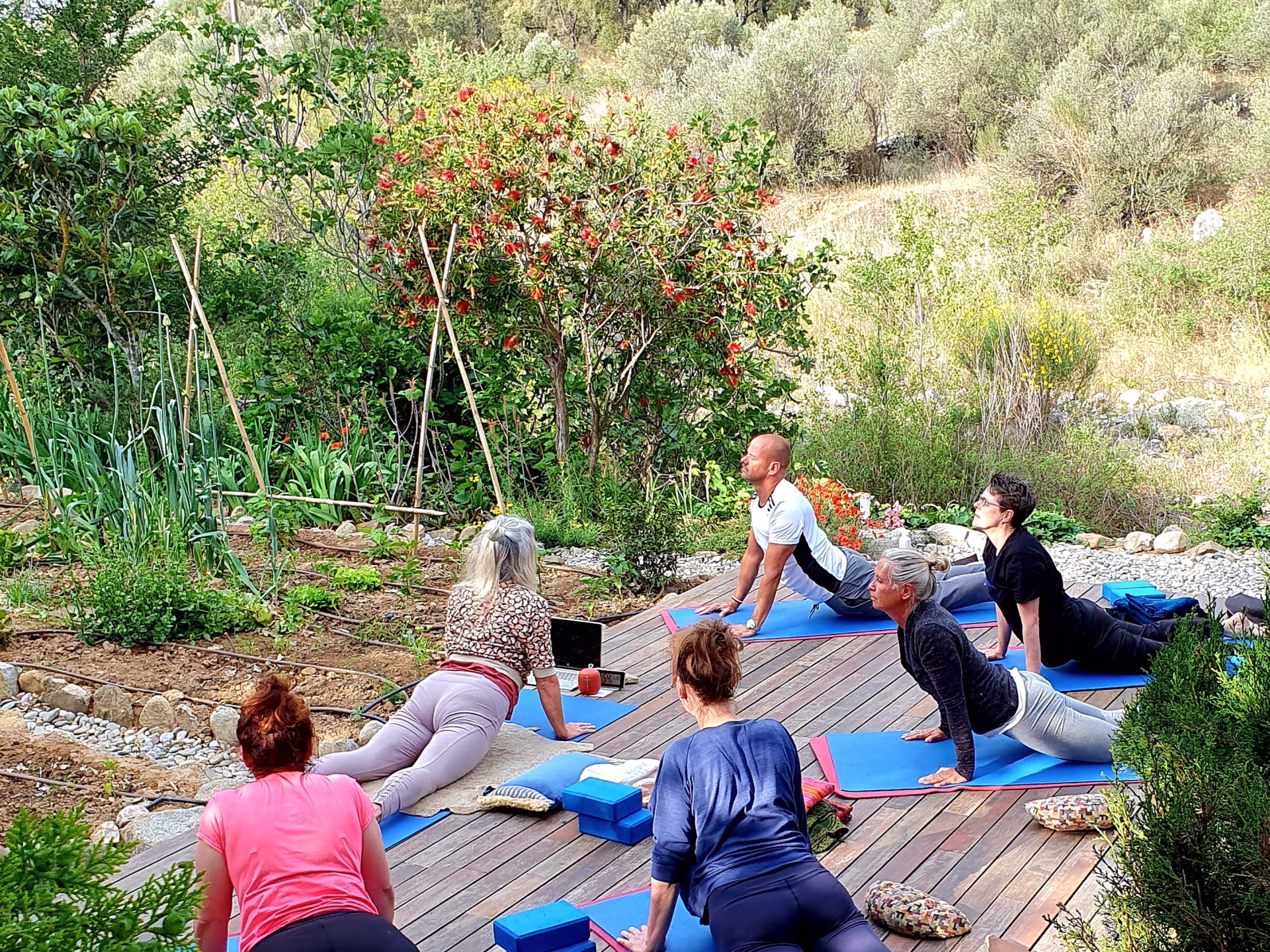 Retraite de Yoga, Méditation & Relaxation en pleine nature