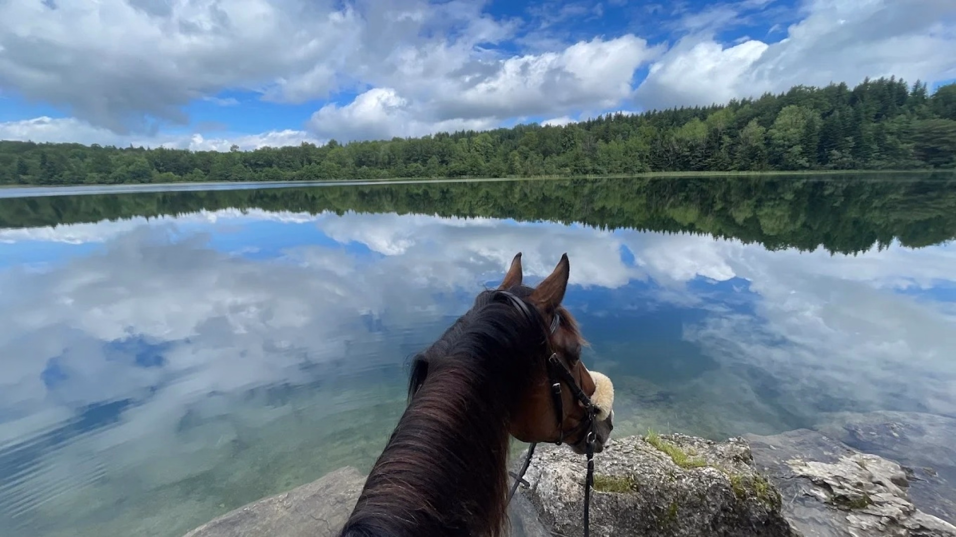 Rando à cheval au fil des lacs et cascades du Haut-Jura