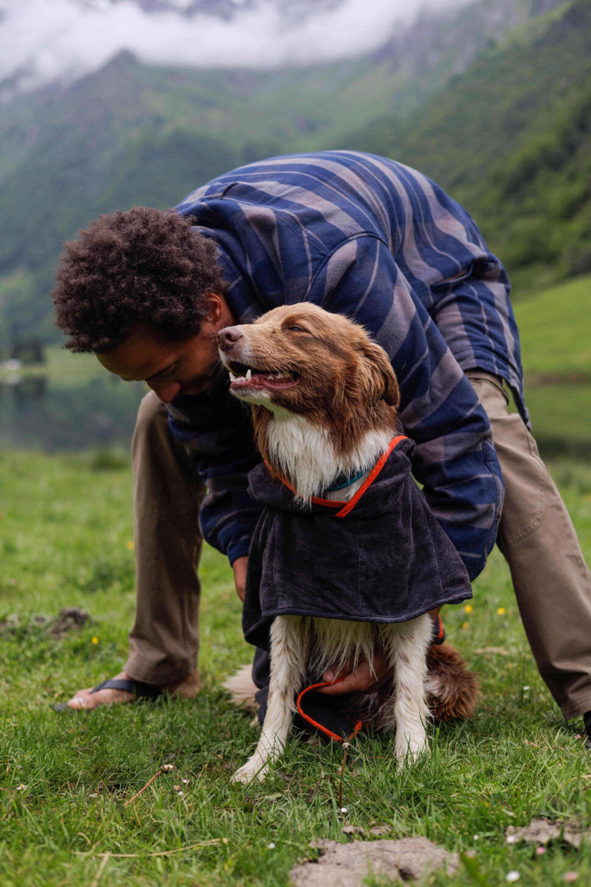 randonnée avec son chien