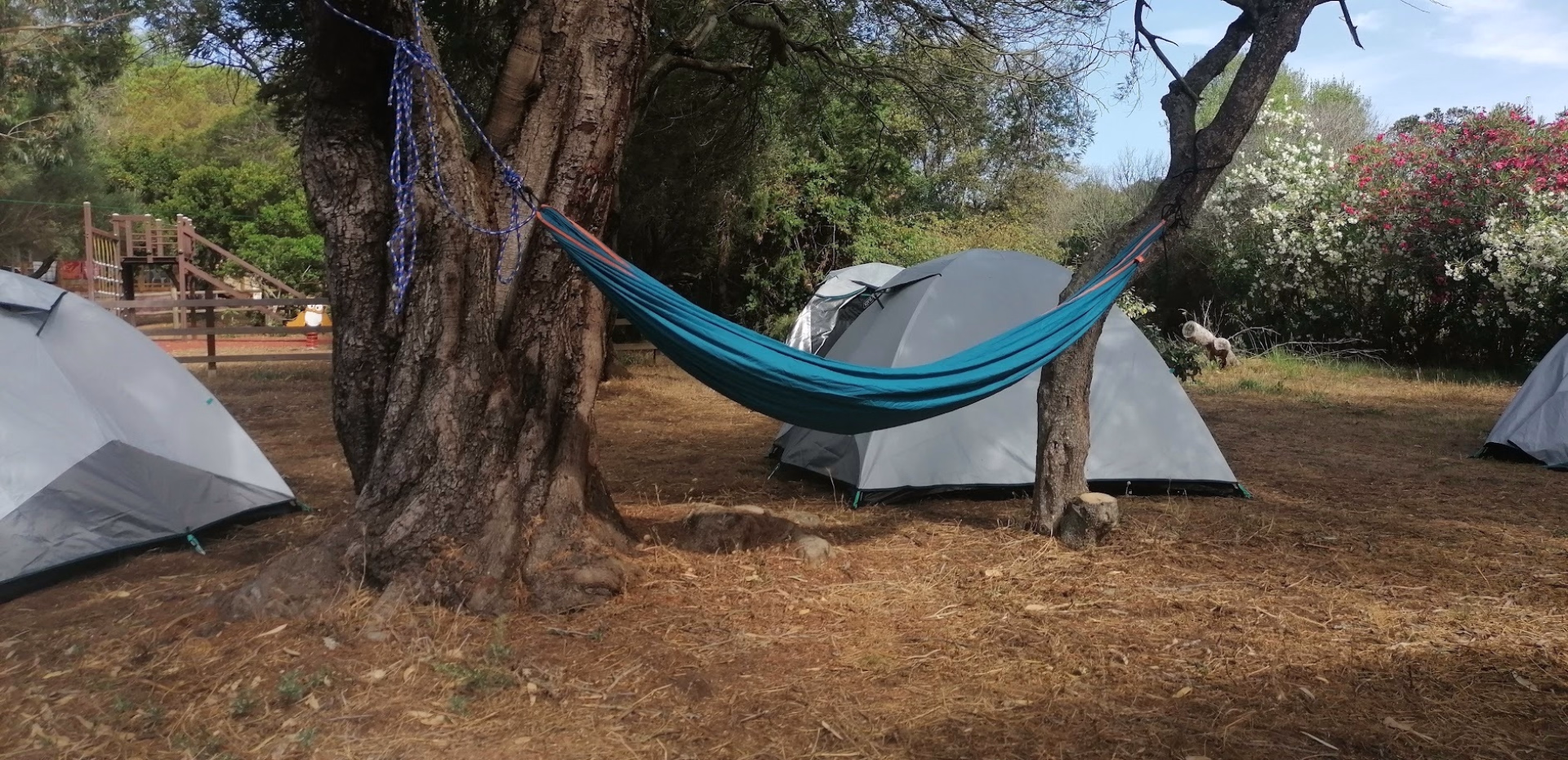 ⛺️ Camping - Jours 1 à 7