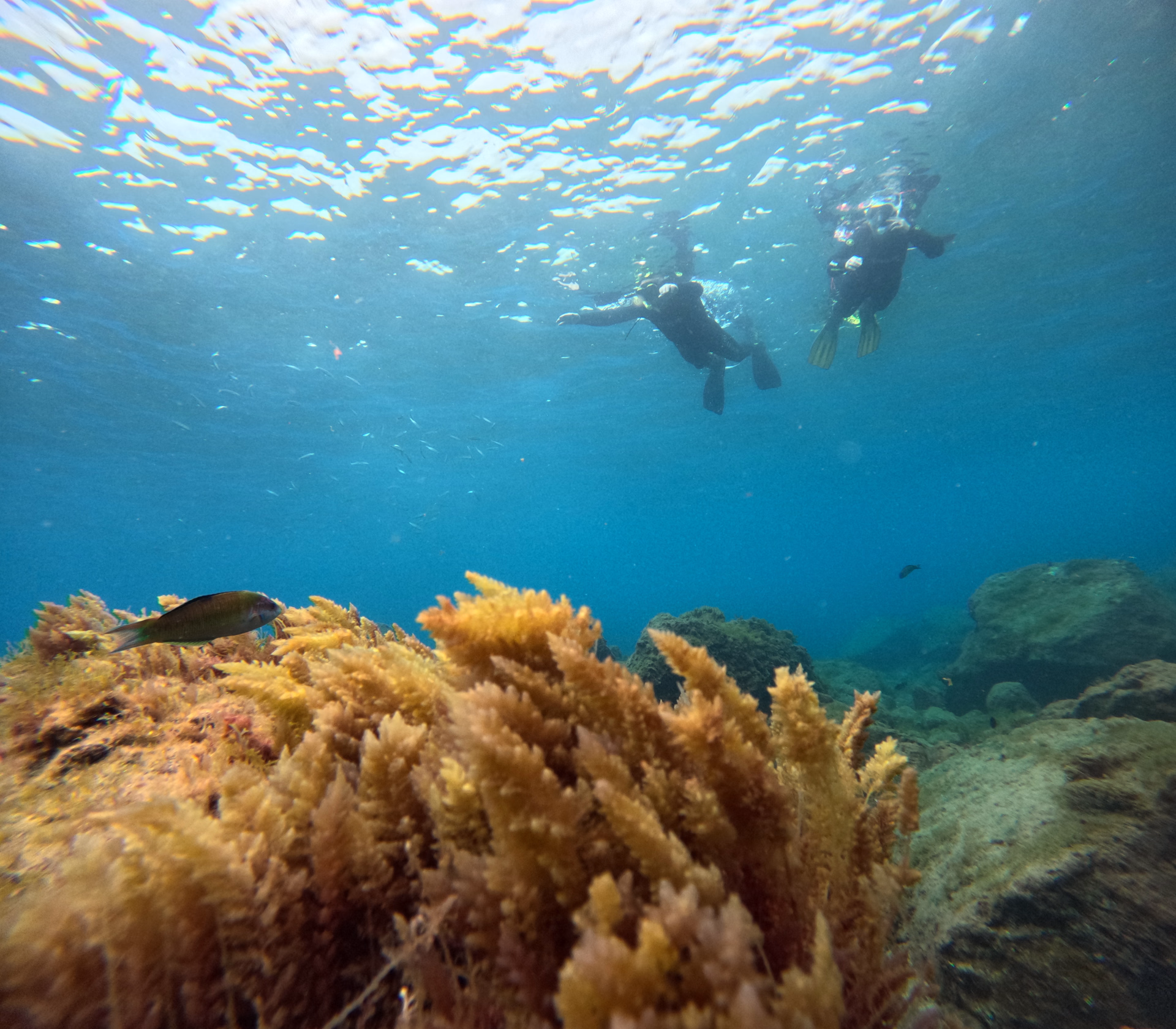 Première aventure sous-marine en famille à Tenerife