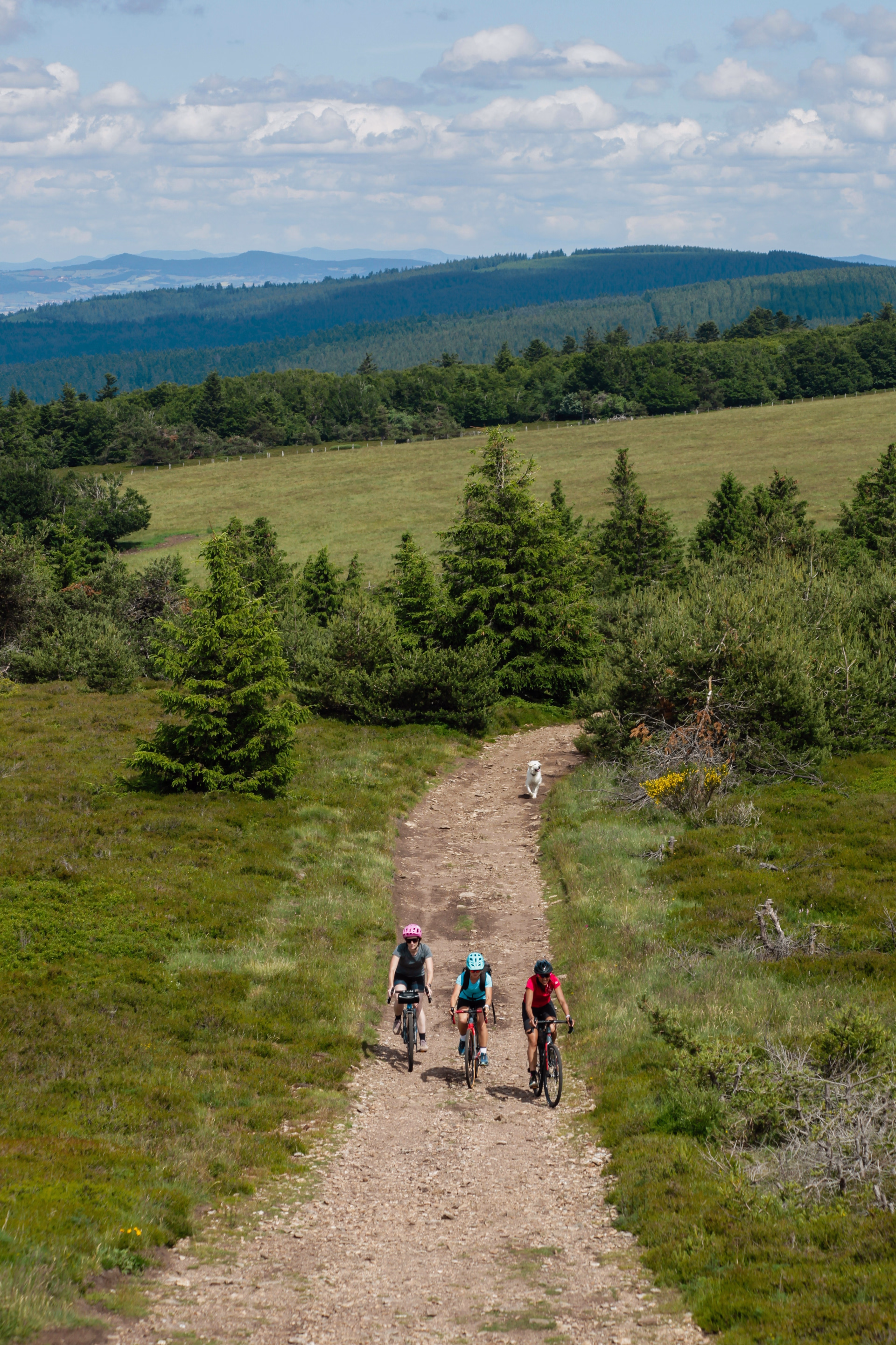 La Grande Traversée de la Haute-Loire à VTT