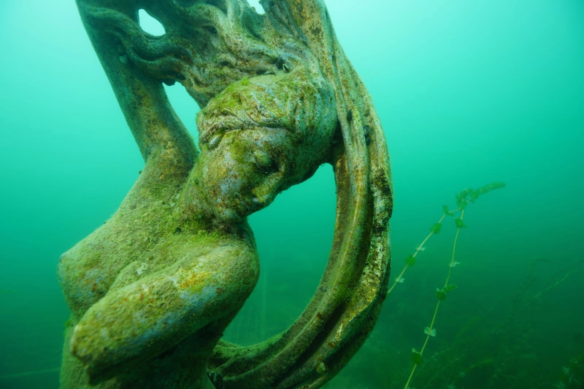 Votre niveau 1 d'apnée et de plongée au Lac Léman