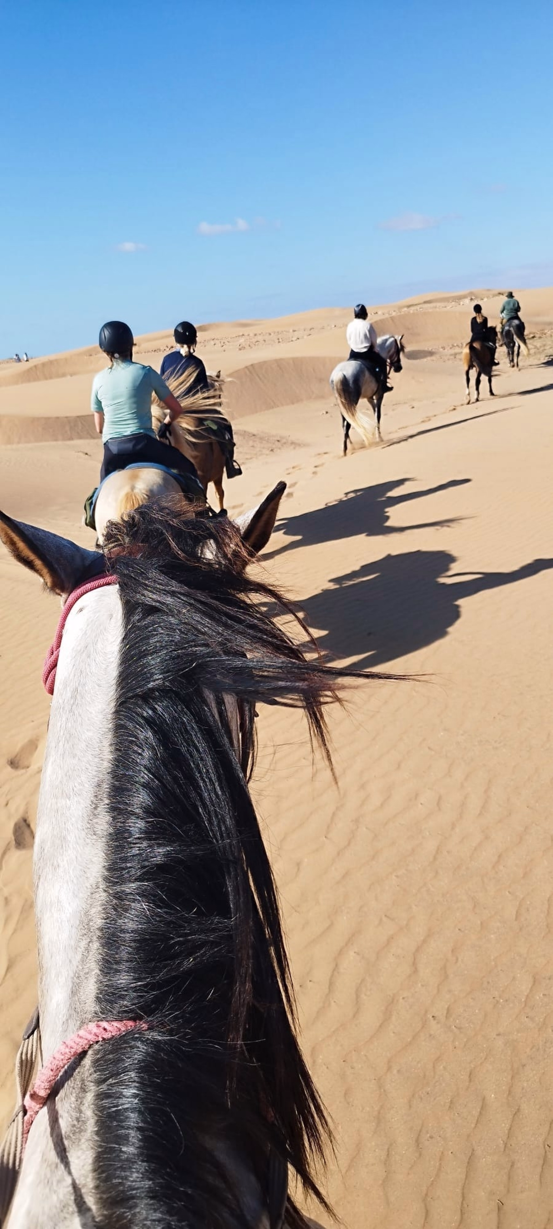 La Boucle d'Argana - Randonnée équestre à Essaouira