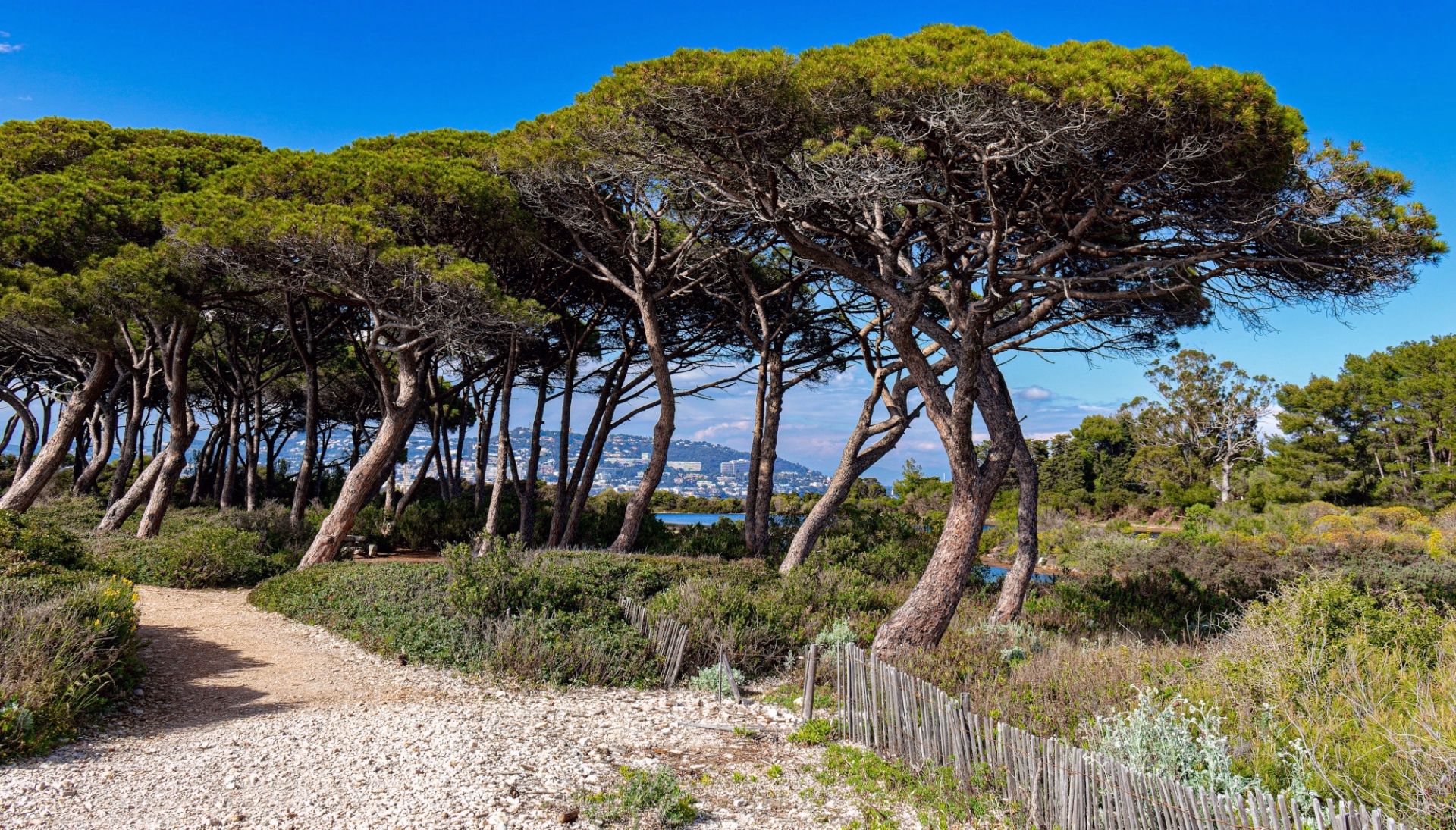 Randonnée sur la Côte d’Azur entre Estérel et îles de Lérins