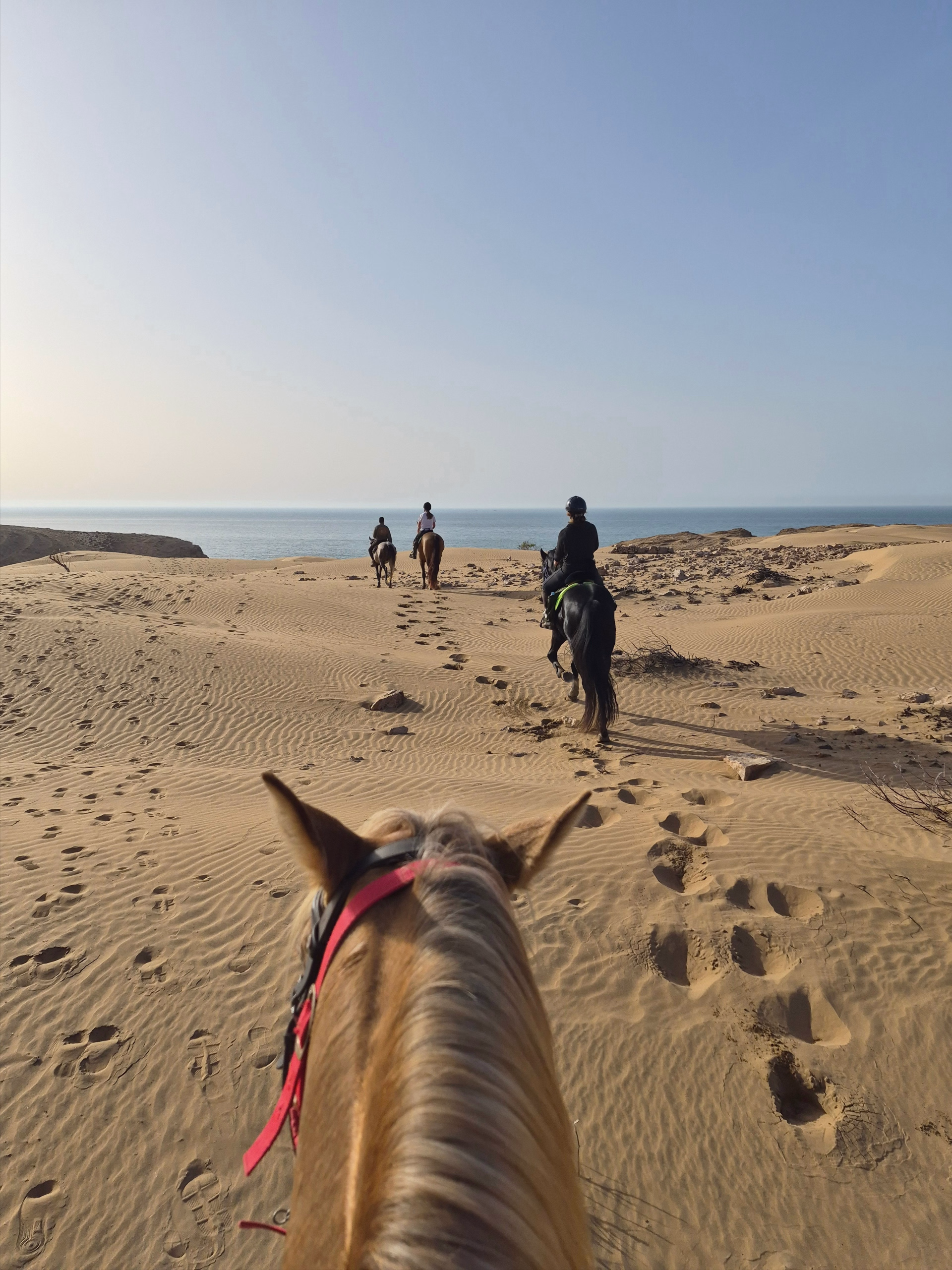La Boucle d'Iftane - Randonnée équestre à Essaouira