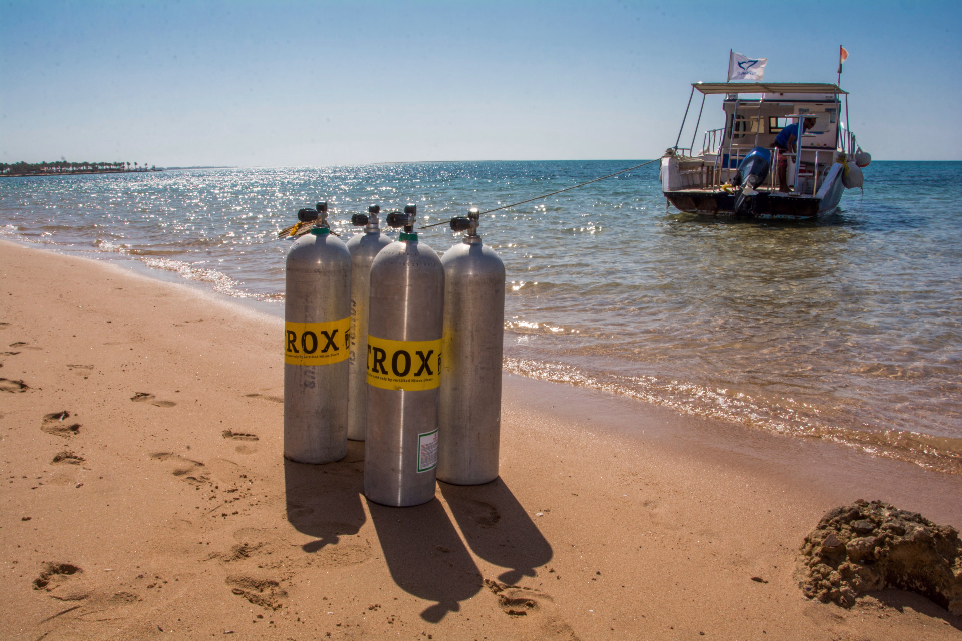 16 plongées en Mer Rouge à Soma Bay