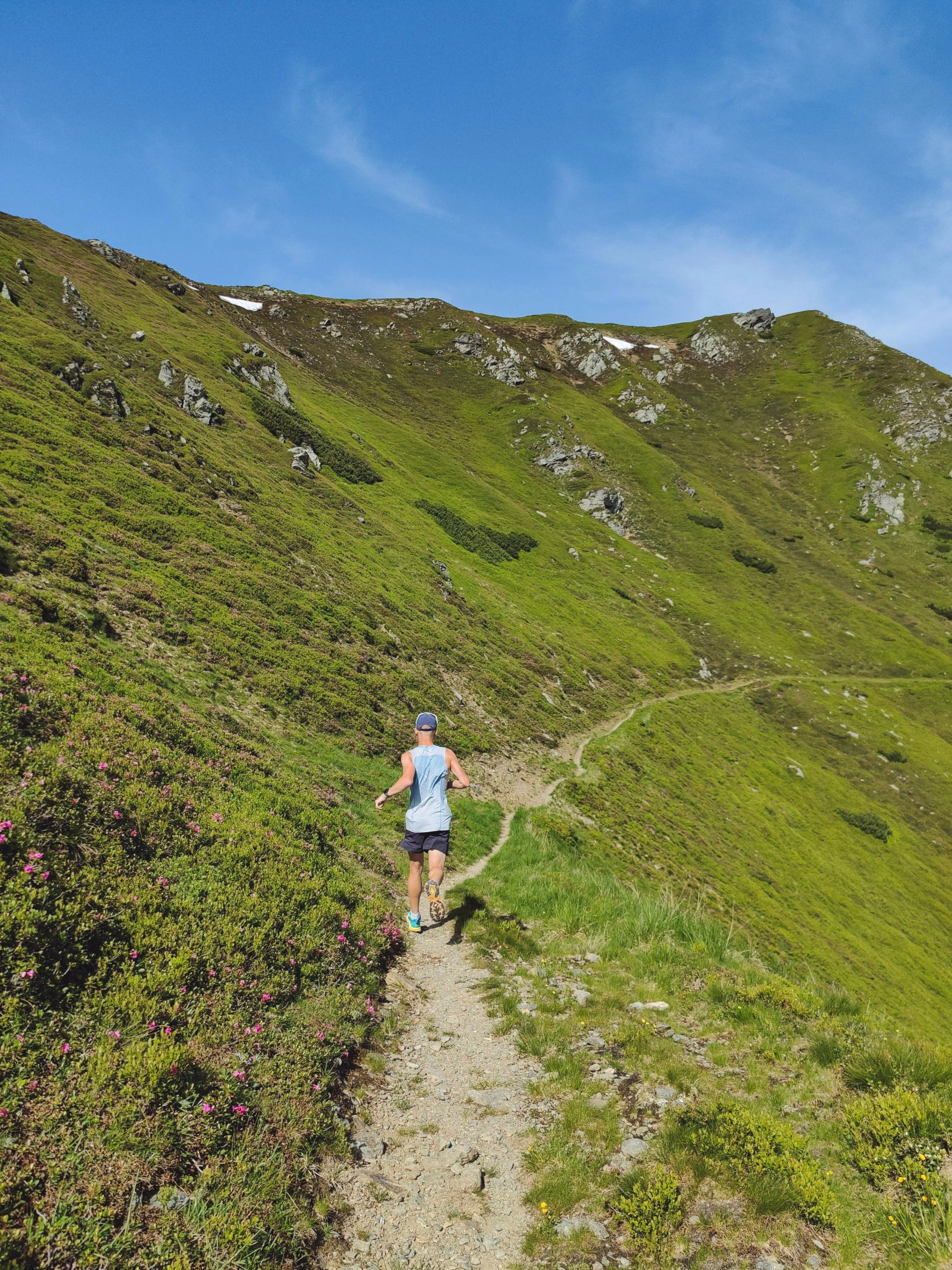 Stage trail en Auvergne au cœur du massif du Sancy