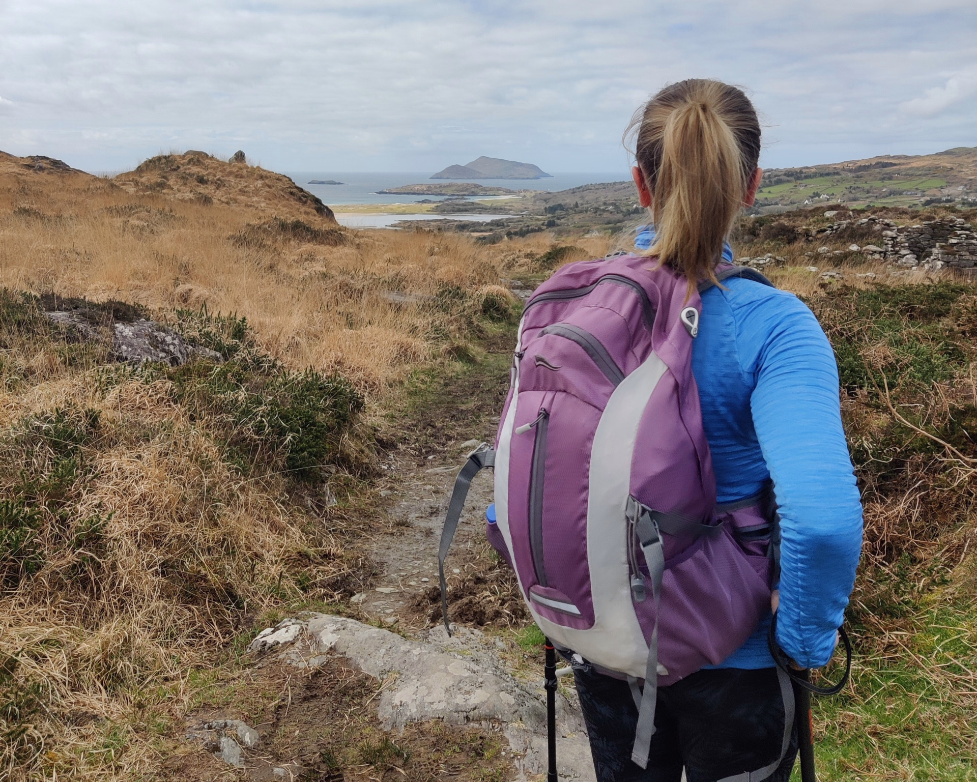 Échappée sauvage guidée : montagnes, lacs et littoral du Ring of Kerry