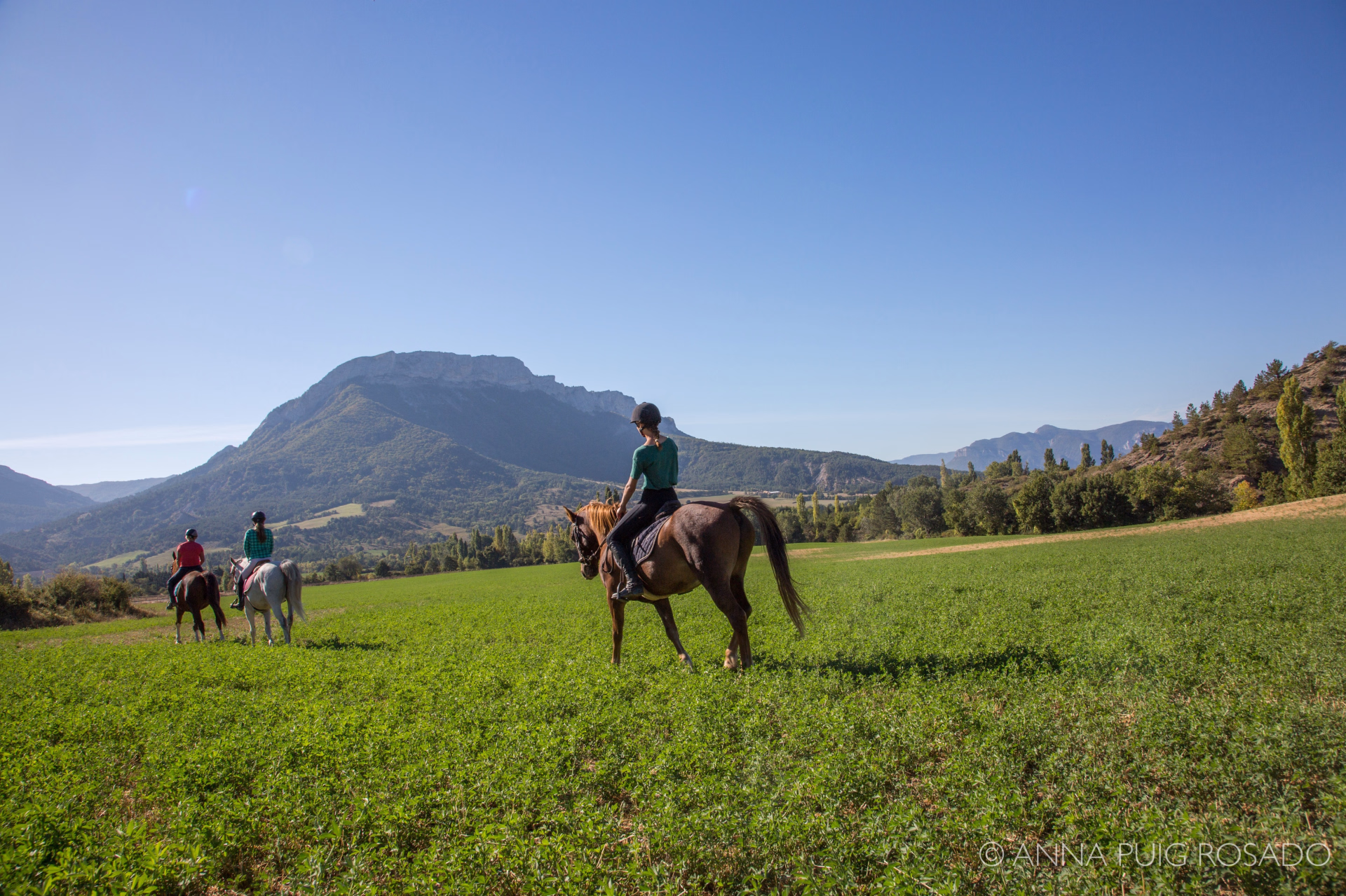Les Baronnies provençales à cheval