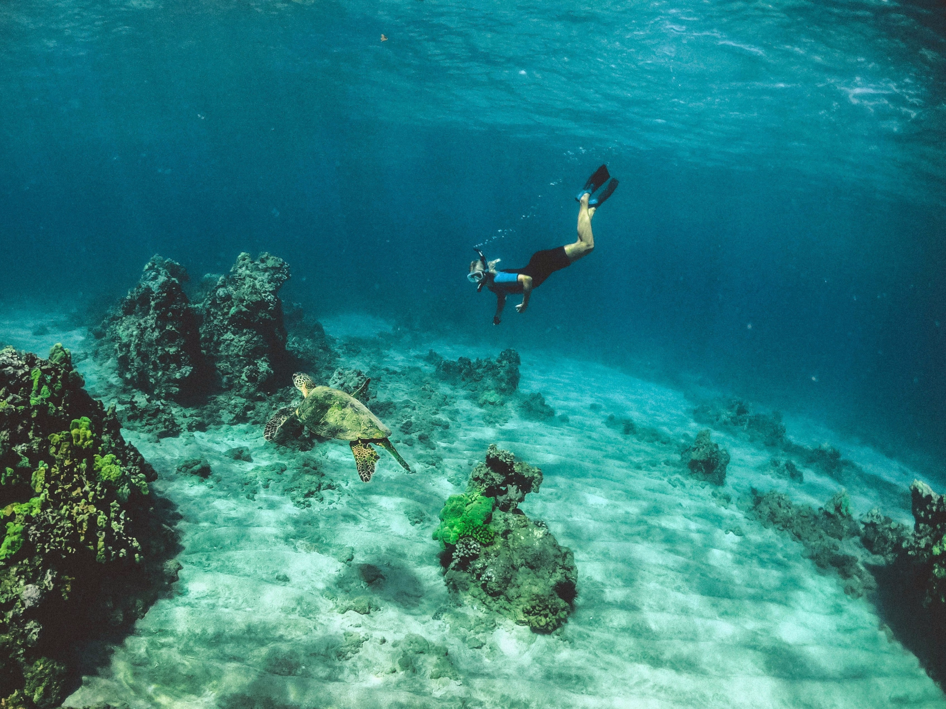 Voyageur solo confirmé : snorkeling d’exploration à Bali – 9 nuits