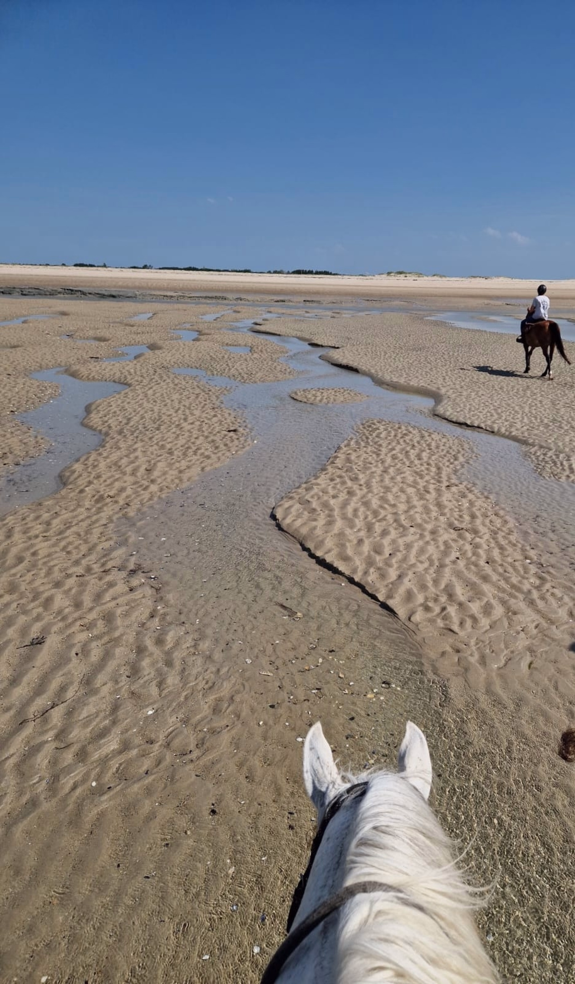 Reiten zu den Stränden von La Vanlée