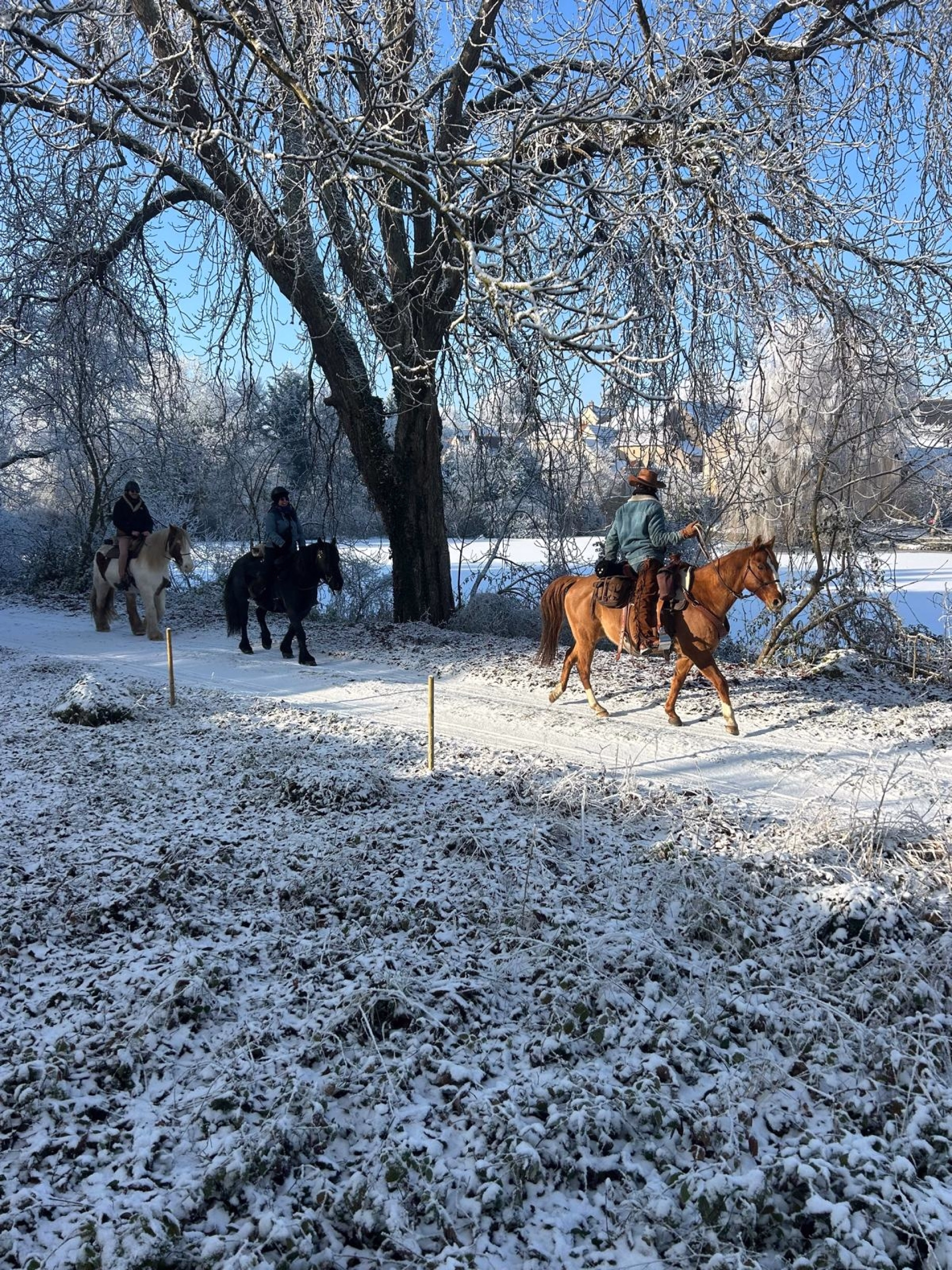 Week-end en Touraine à cheval entre châteaux et vignes
