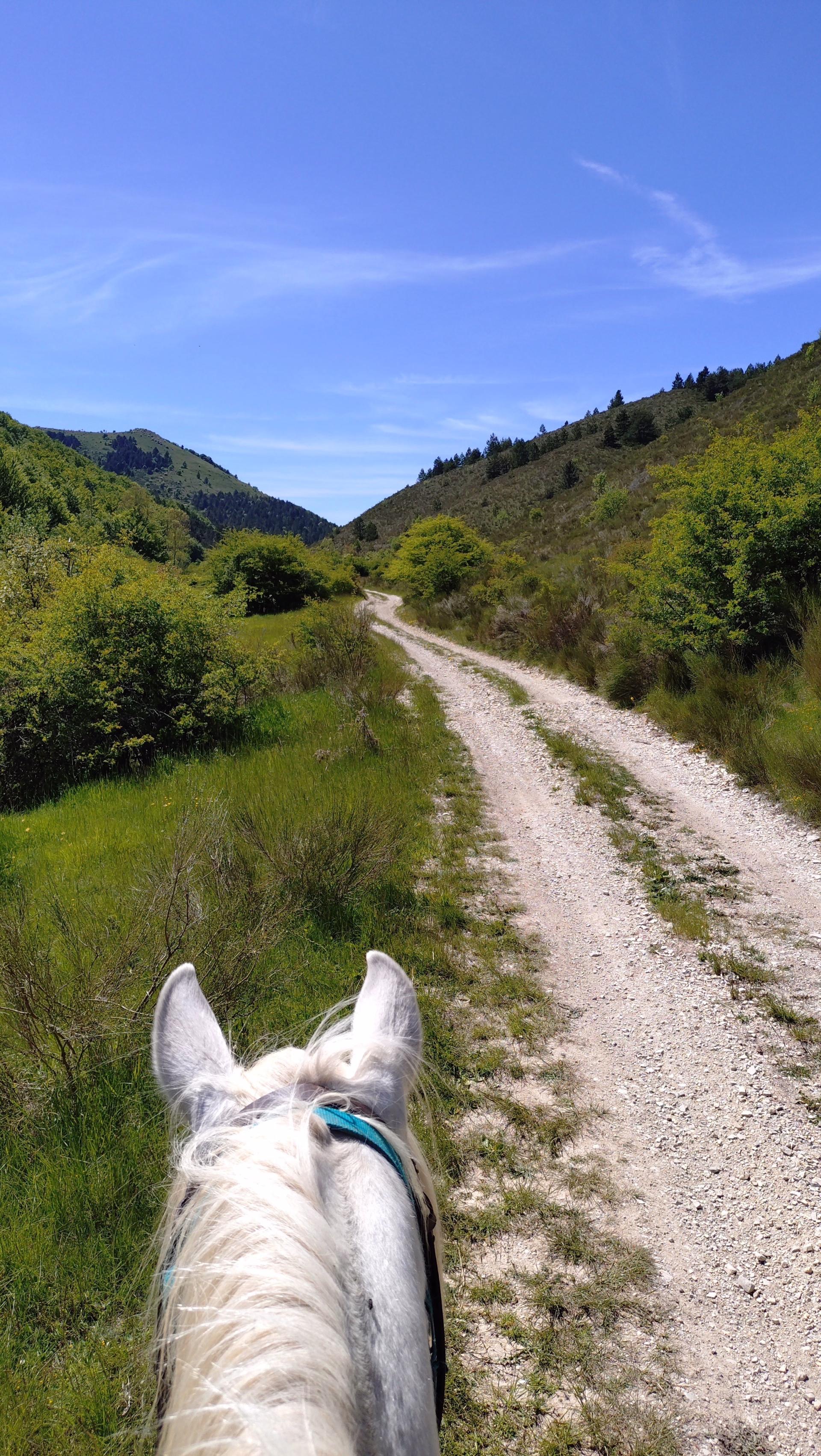 Rando cheval et yoga dans les Hautes-Alpes