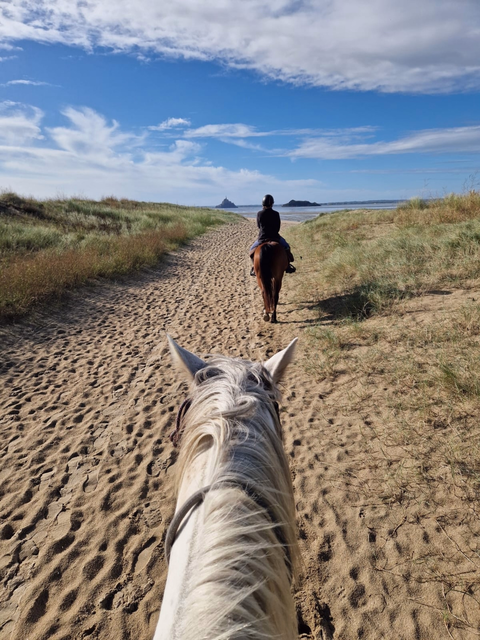 Randonnée à cheval en Baie du Mont-St-Michel entre Granville et Genêt