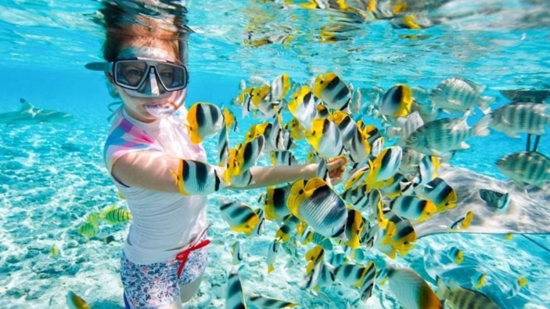 Snorkeling - Découvrez le monde sous marin de Ras Mohammed en palmes