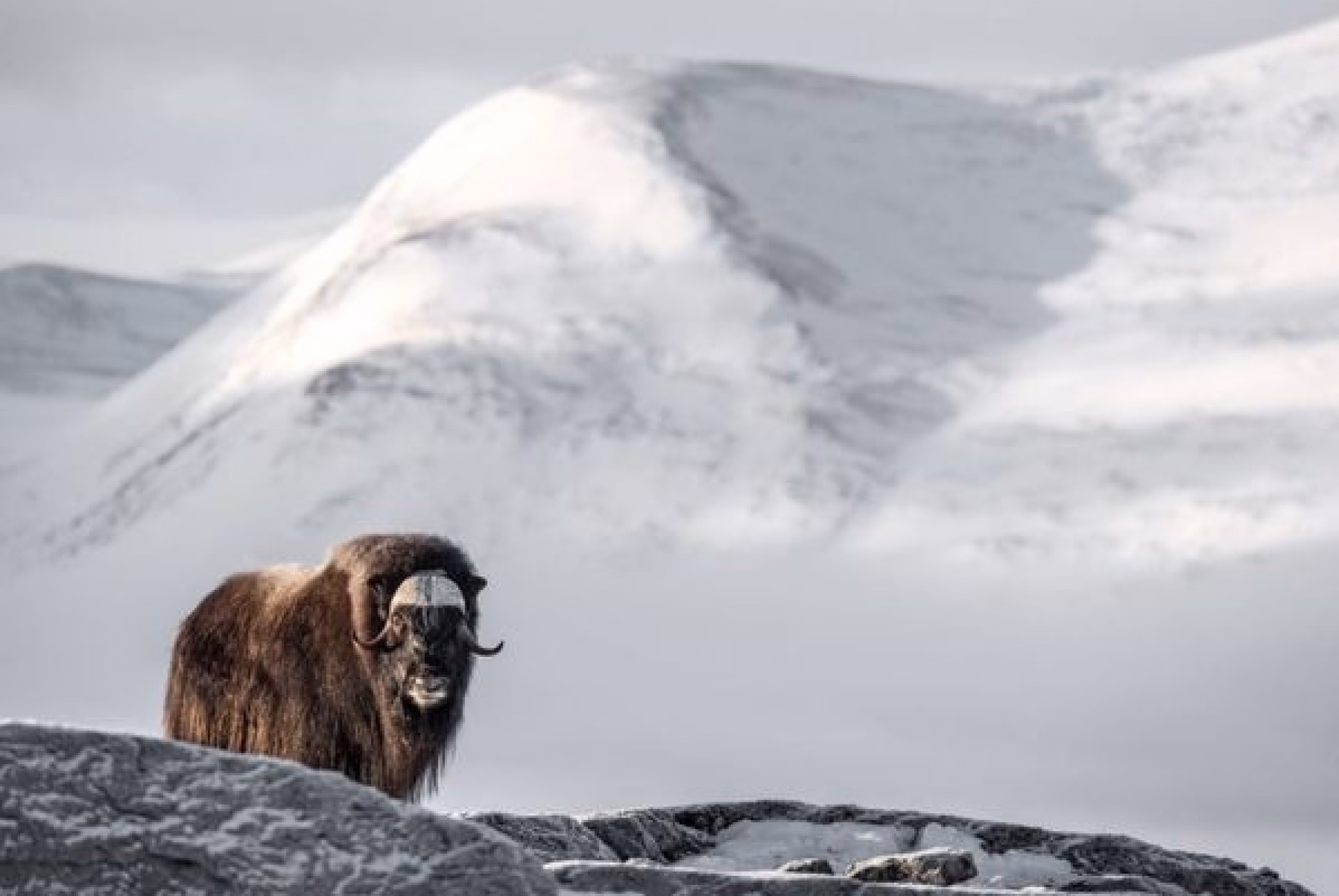 Le sud de la Norvège en hiver