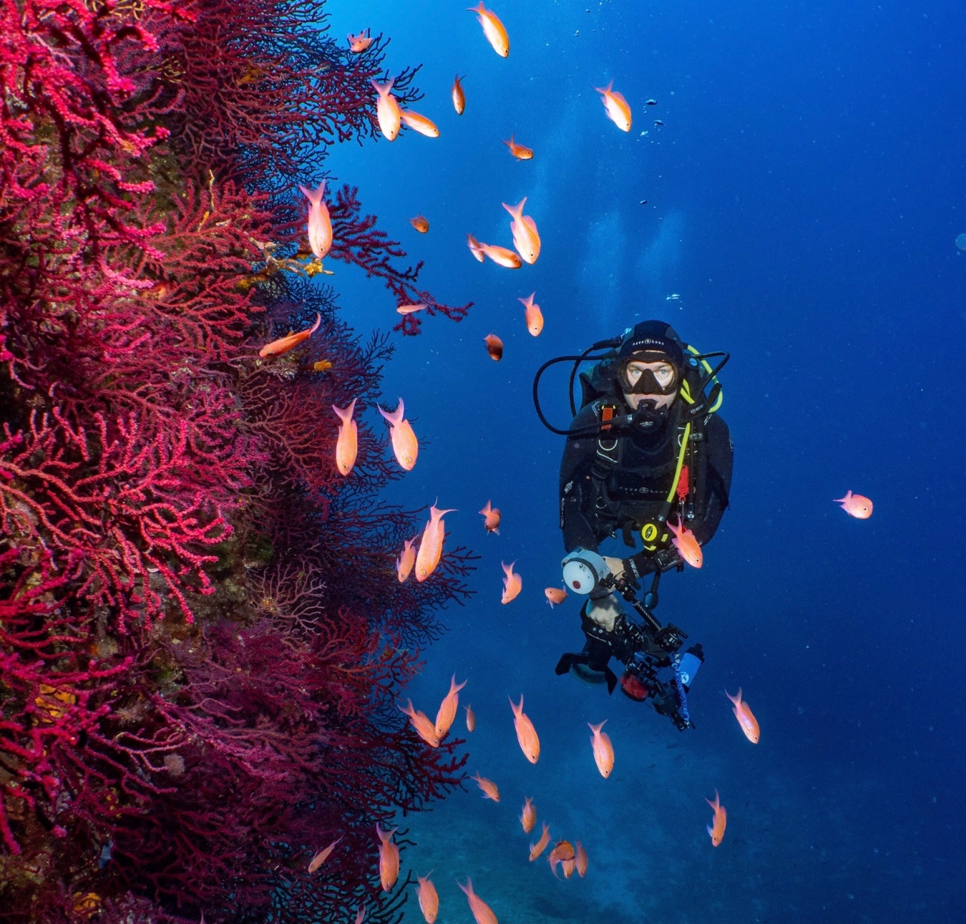 Progressez avec l'Advanced Open Water PADI