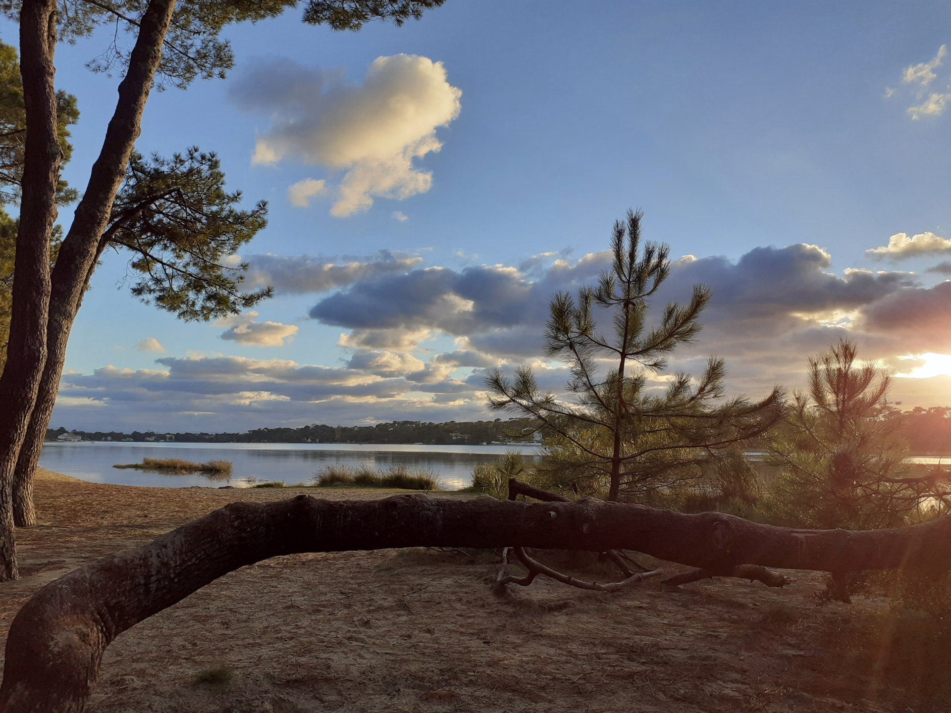 Break liberté à Seignosse : Surf et VTT dans les Landes
