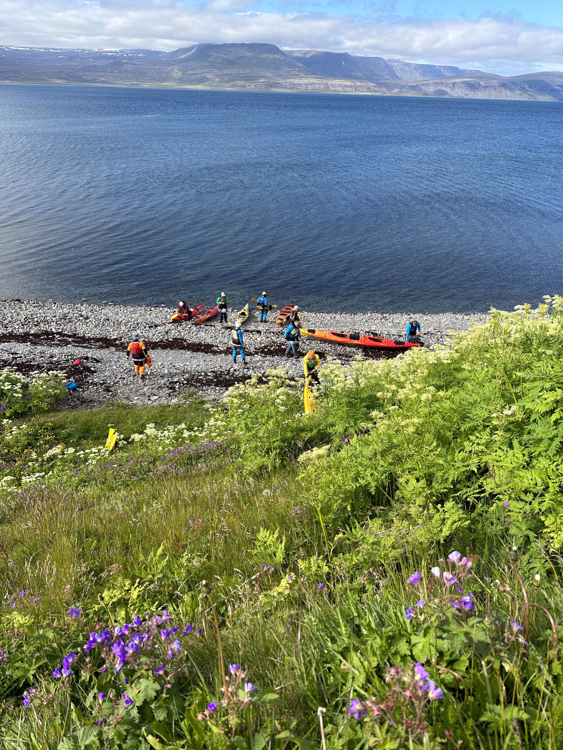 Excursions Kayak de mer dans les fjords glaciaires du Hornstrandir