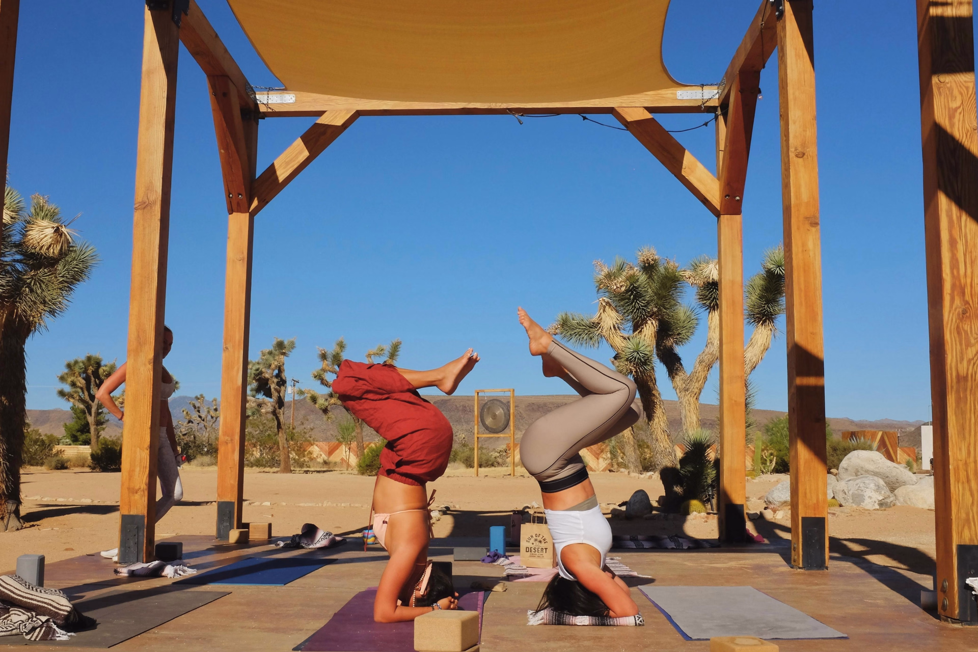 Désert sauvage — 6 jours de yoga & d'aventure à Joshua Tree