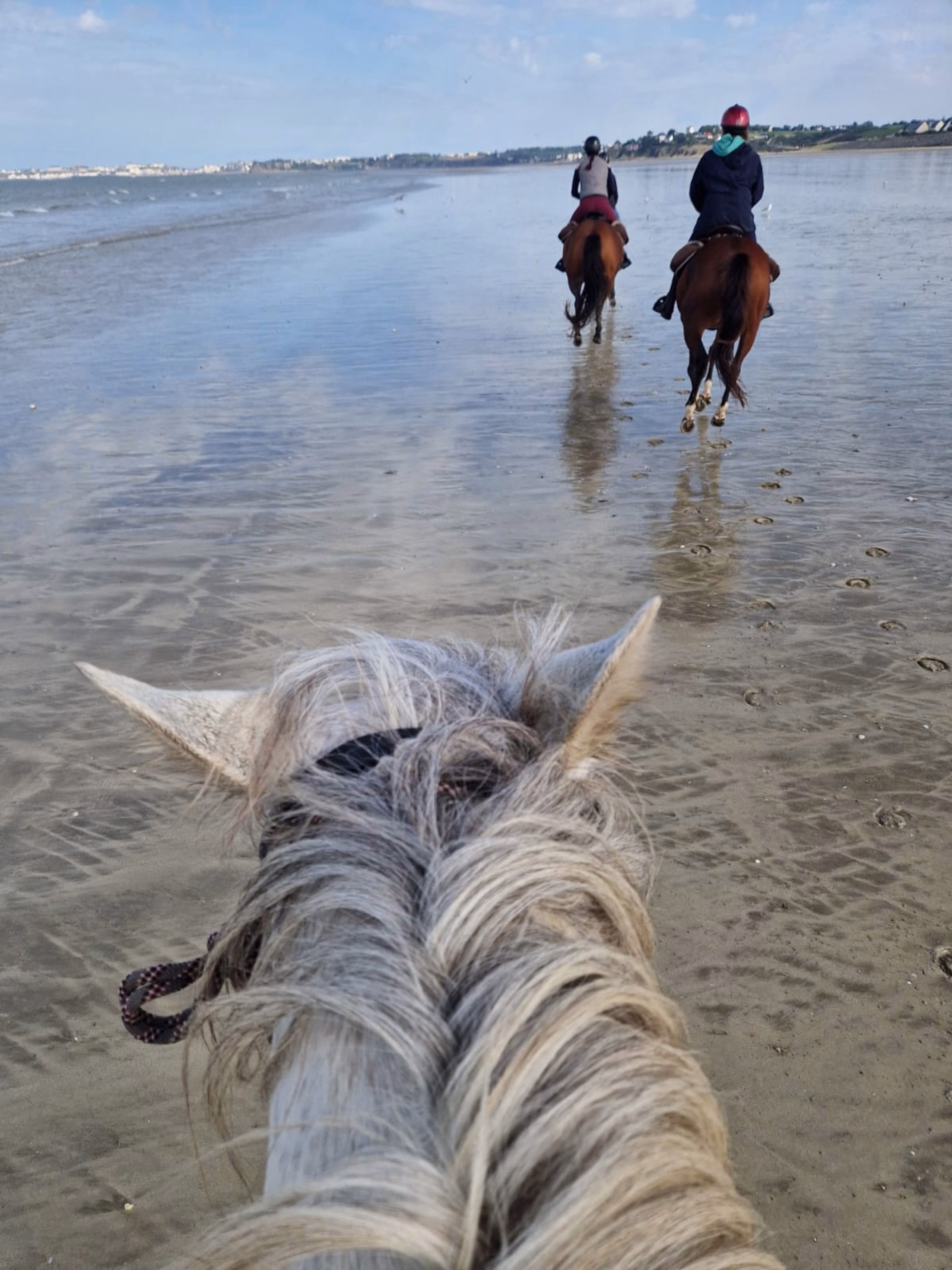 Randonnée à cheval en Baie du Mont-St-Michel entre Granville et Genêt