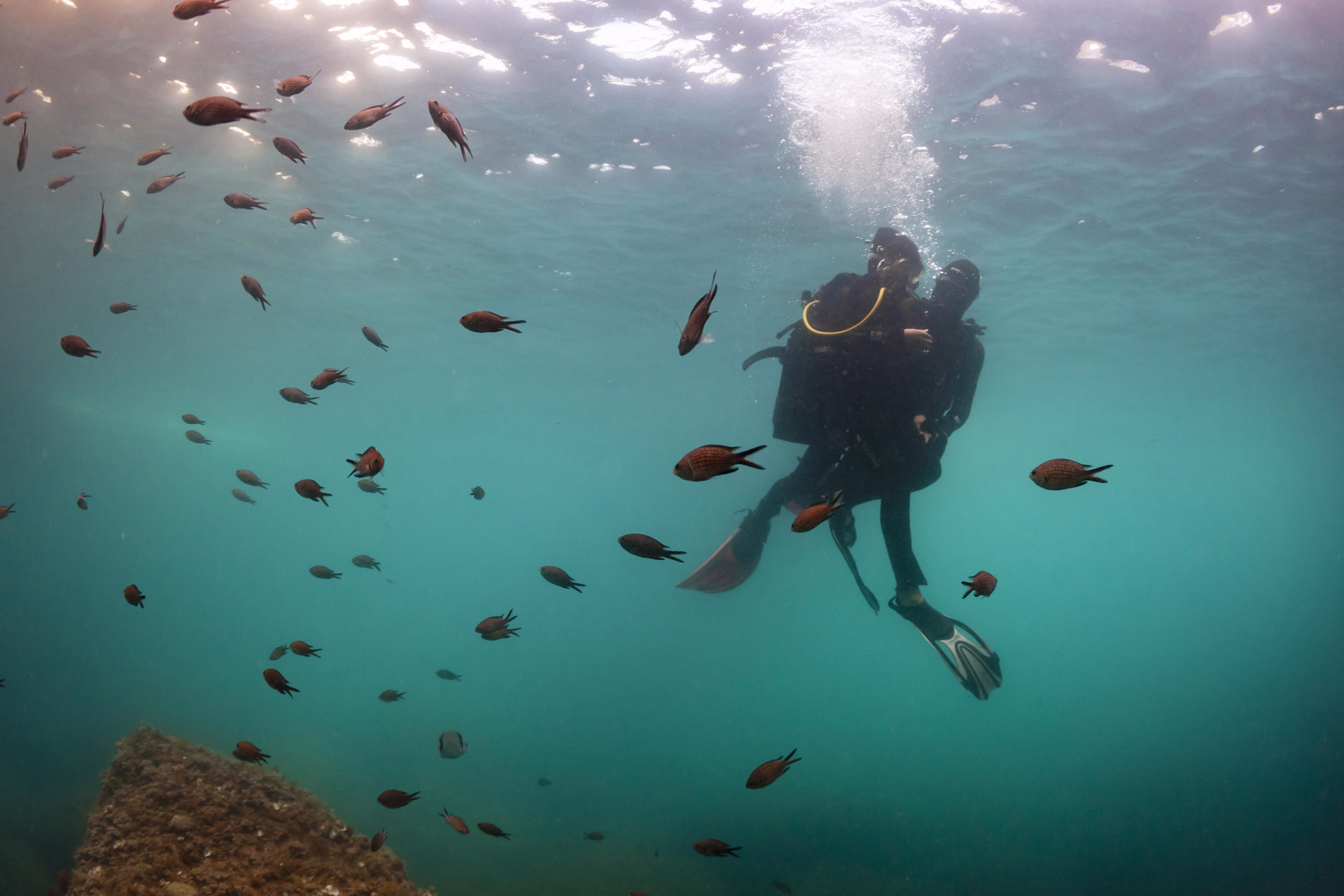 Cours de plongée et formation PADI Open Water Diver sur la Costa Brava